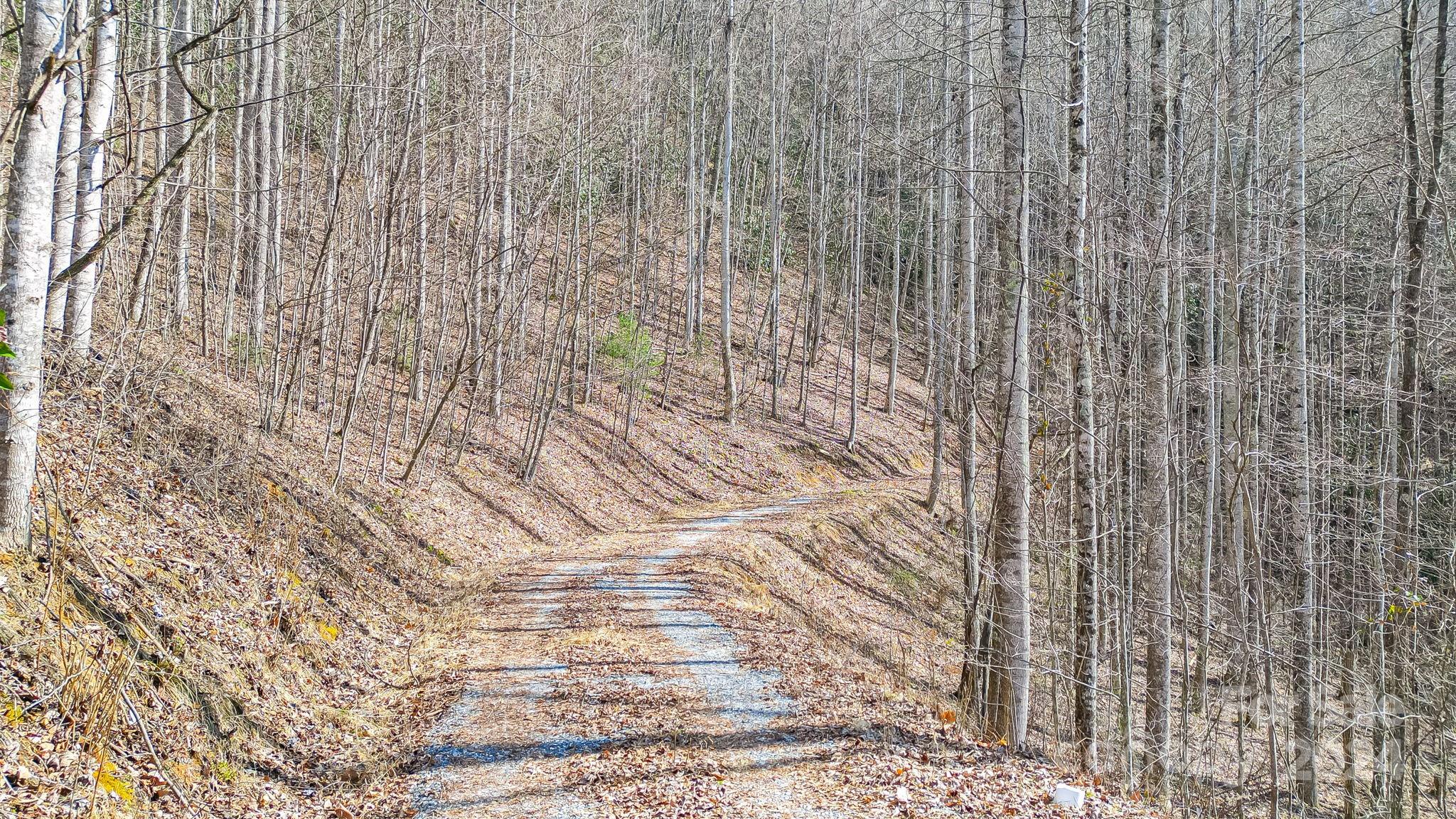 9999 One Feather Road Lot E103 Property Photo 10