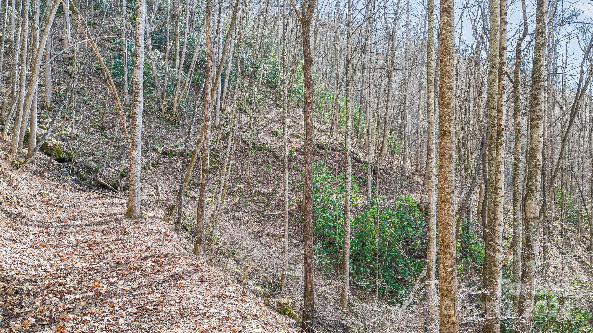 9999 One Feather Road Lot E103 Property Photo 14