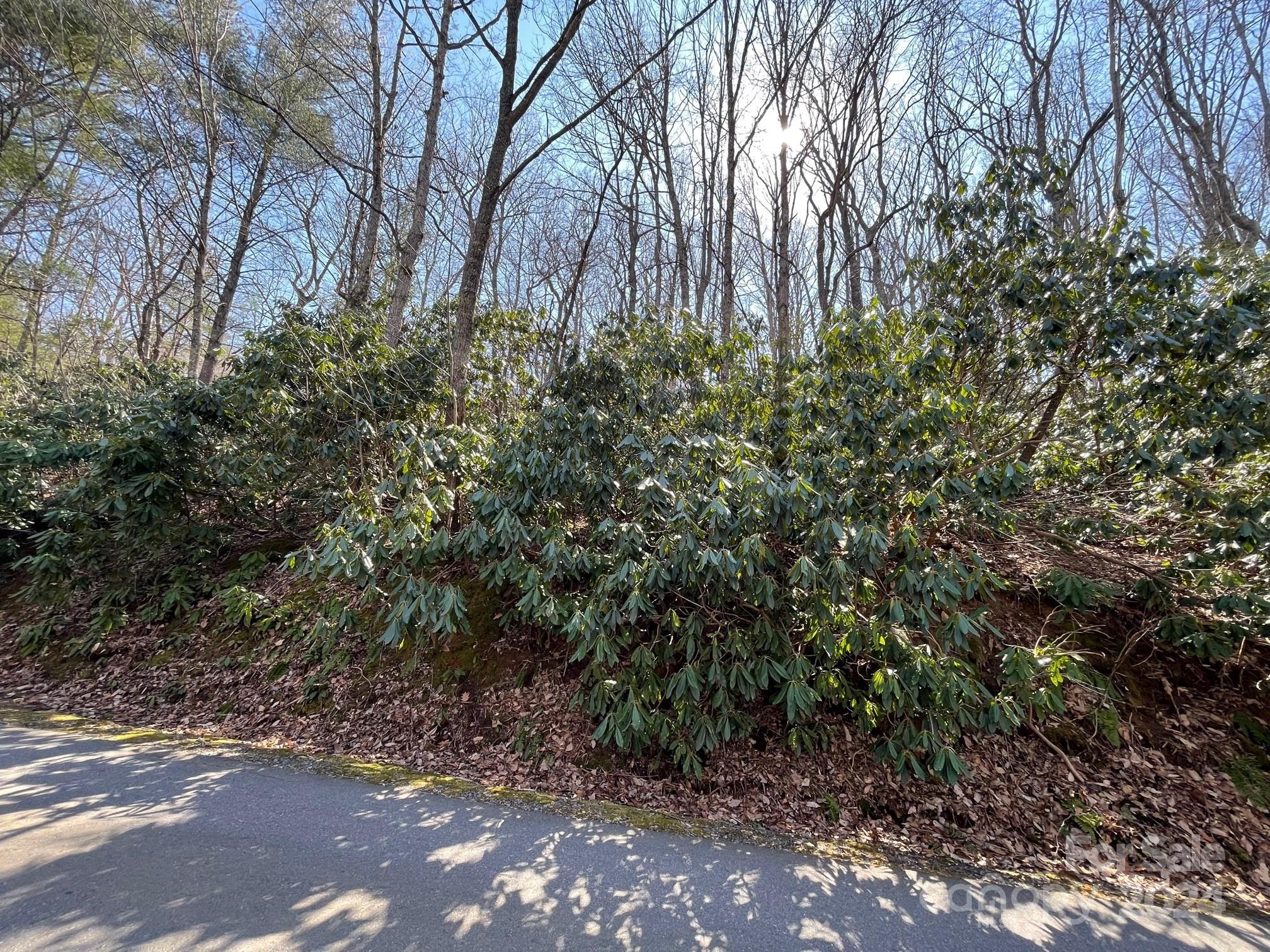 111 Deer Run Lane 40 Property Photo 4