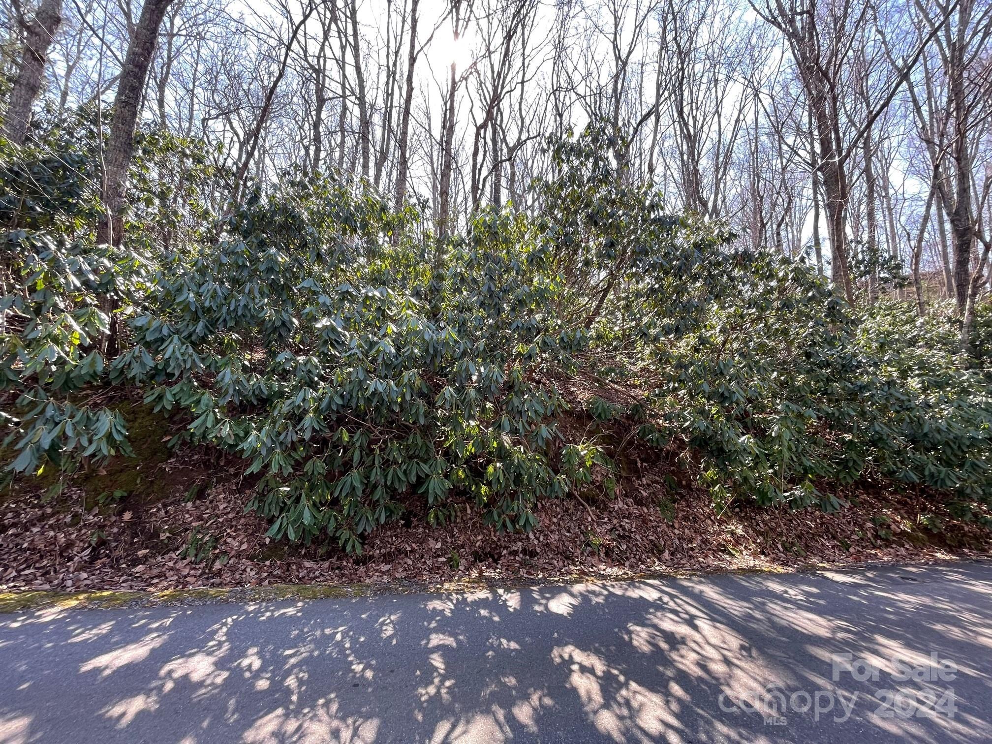 111 Deer Run Lane 40 Property Photo 6
