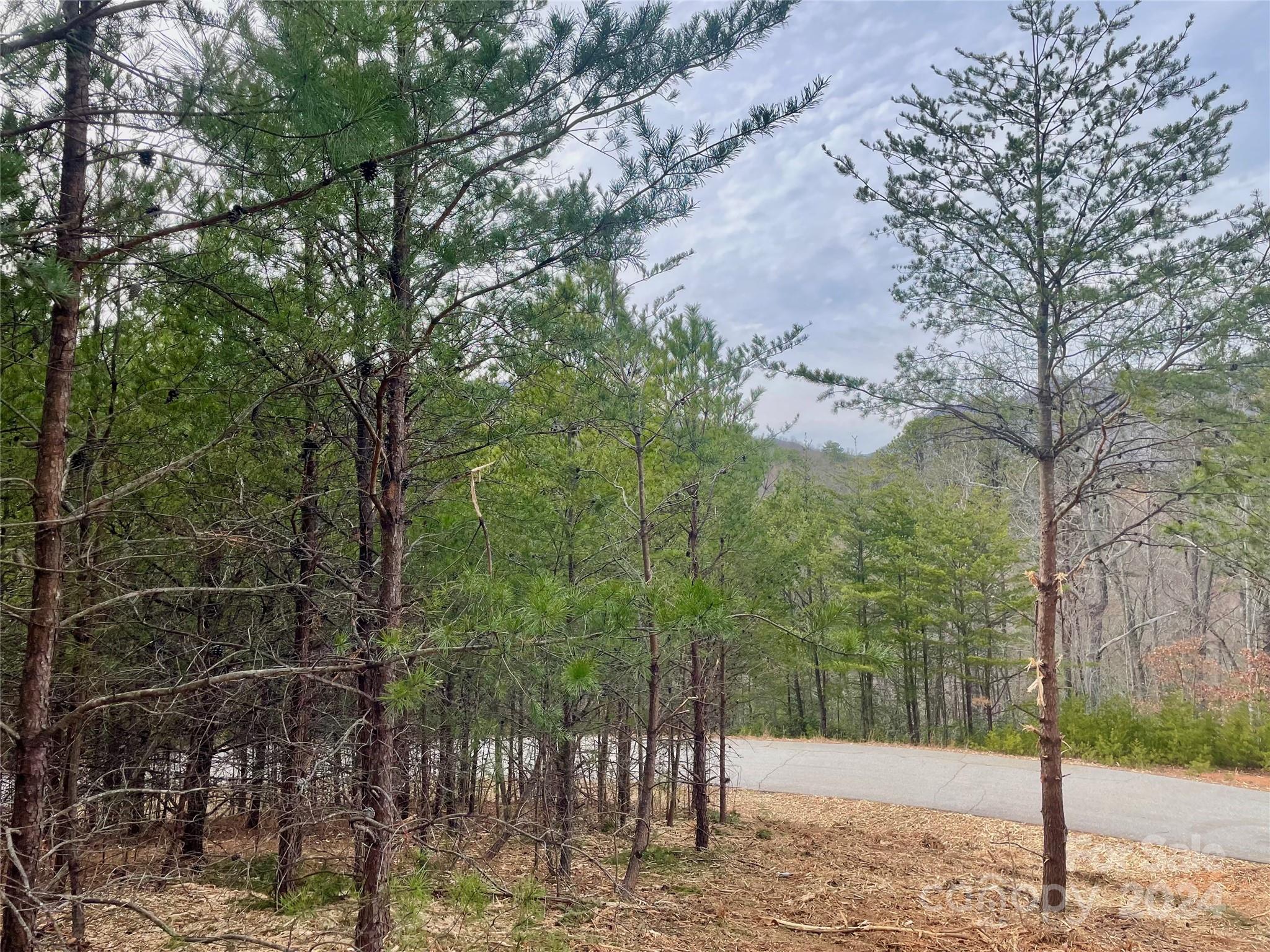 0 Clear Creek Trail Property Photo 1