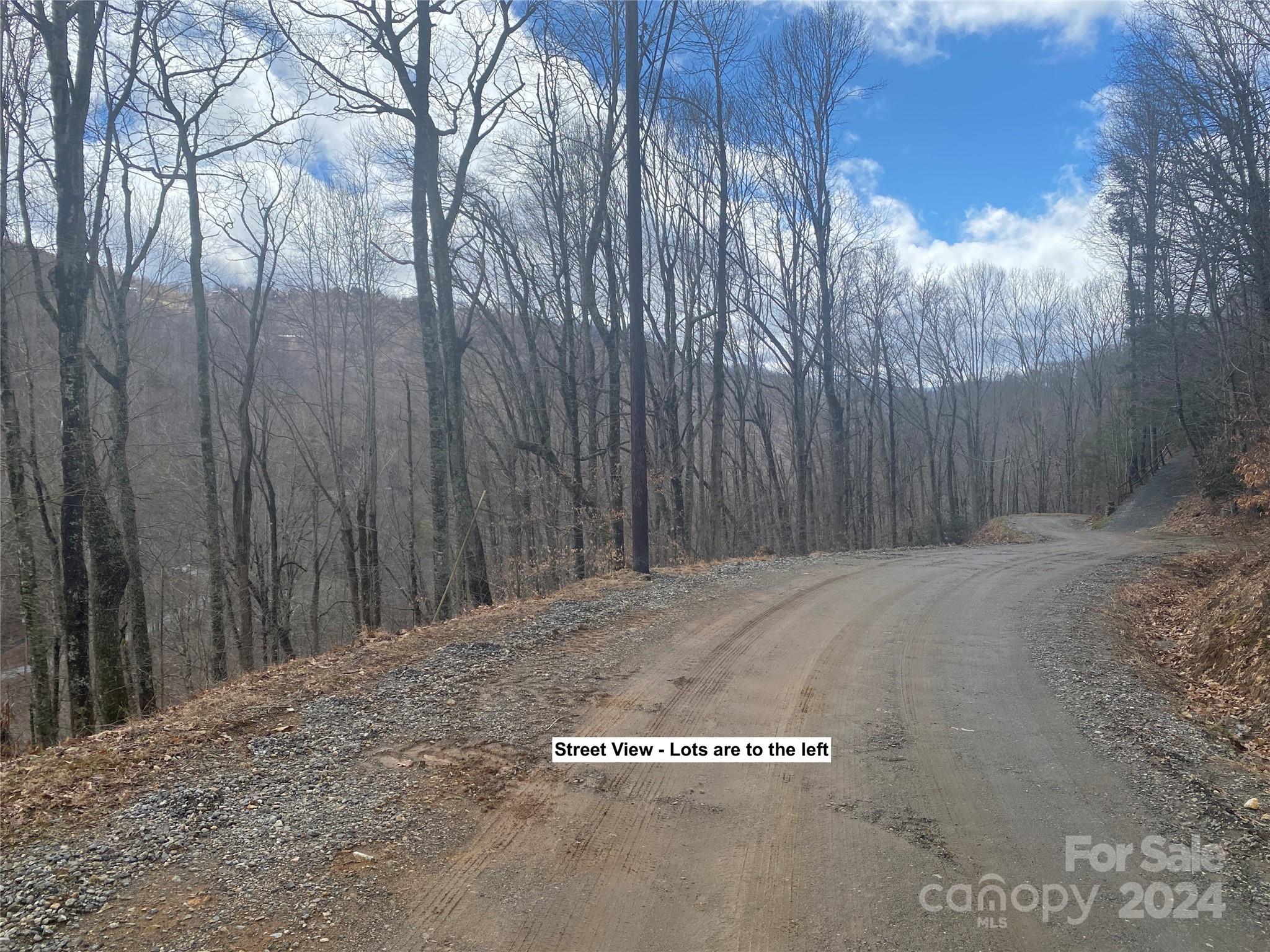 Tbd Fox Den Road Property Photo 1