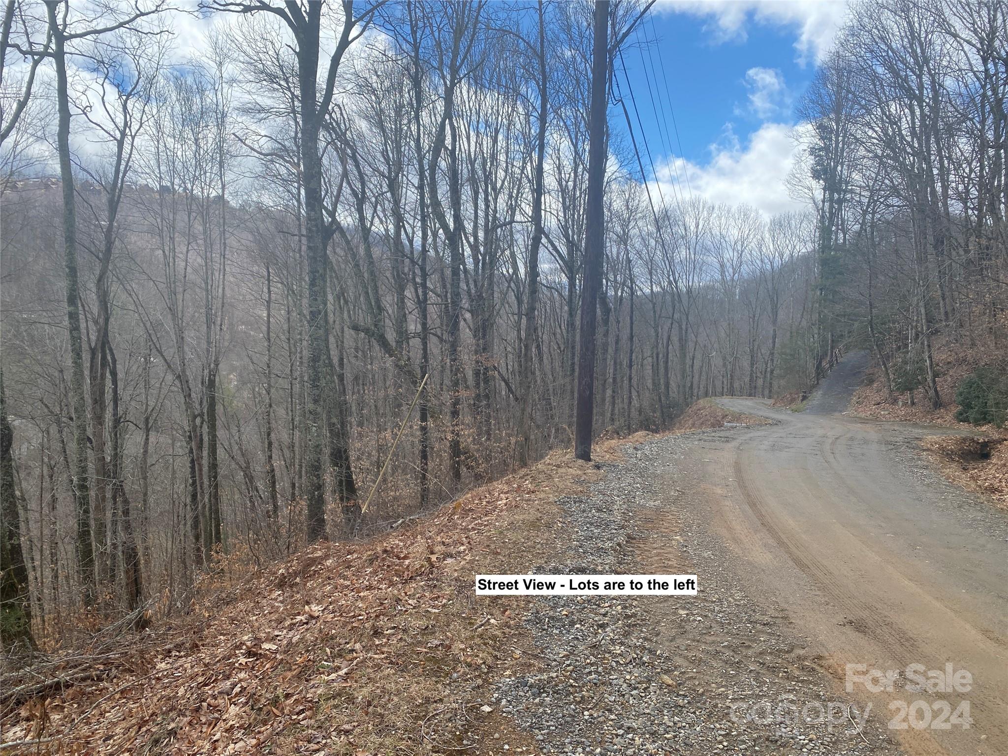 Tbd Fox Den Road Property Photo 2