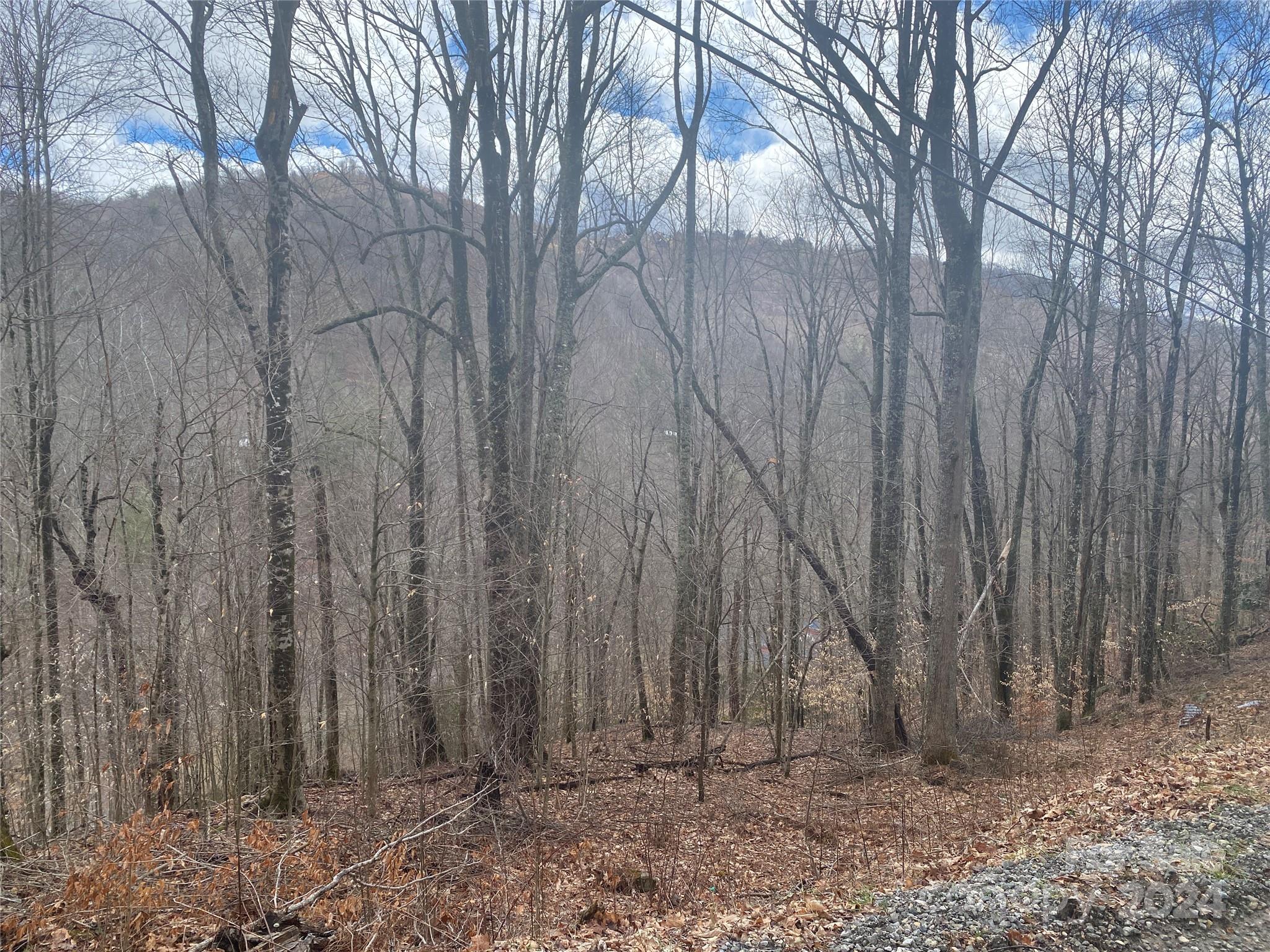 Tbd Fox Den Road Property Photo 3