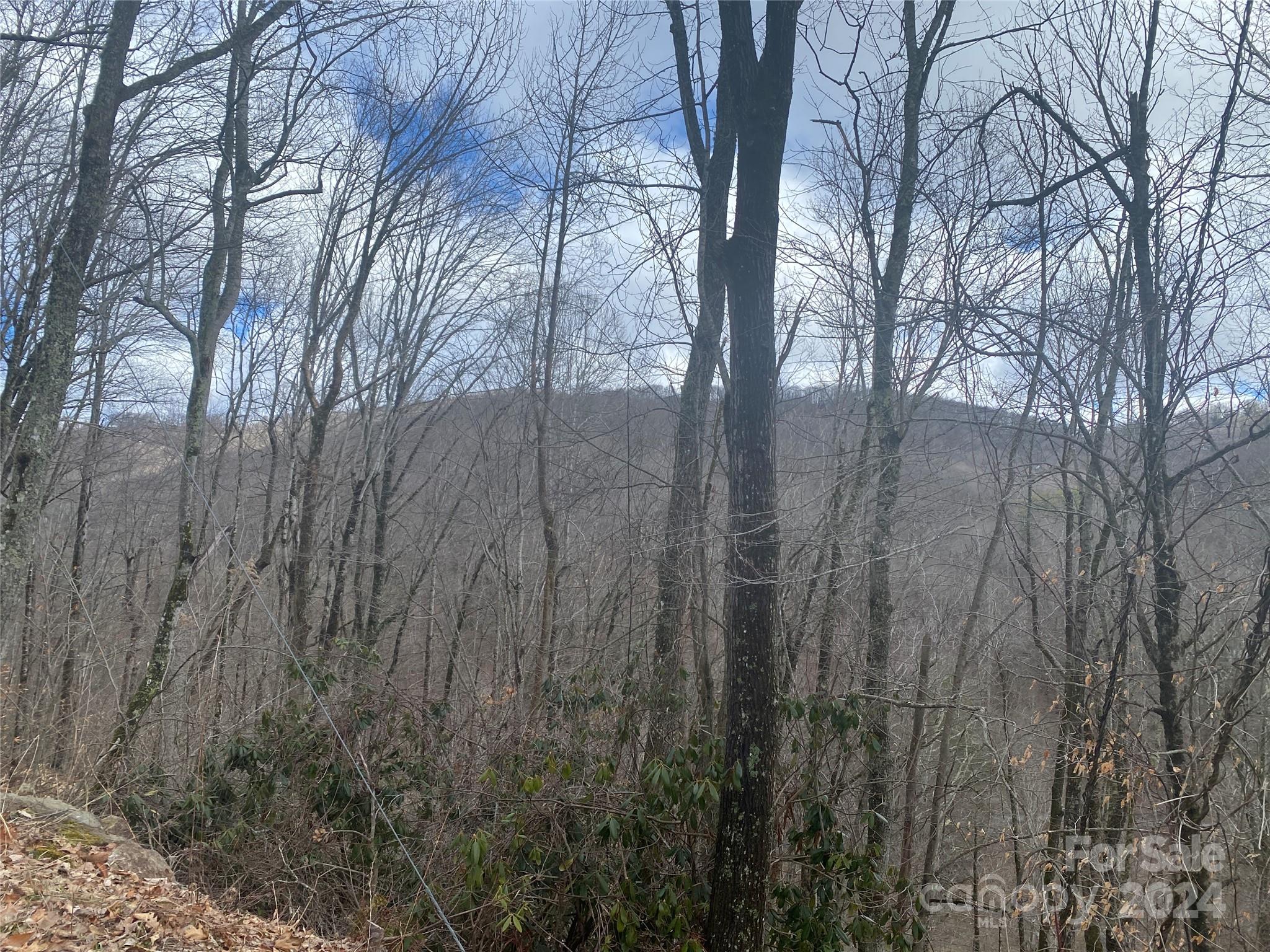 Tbd Fox Den Road Property Photo 5