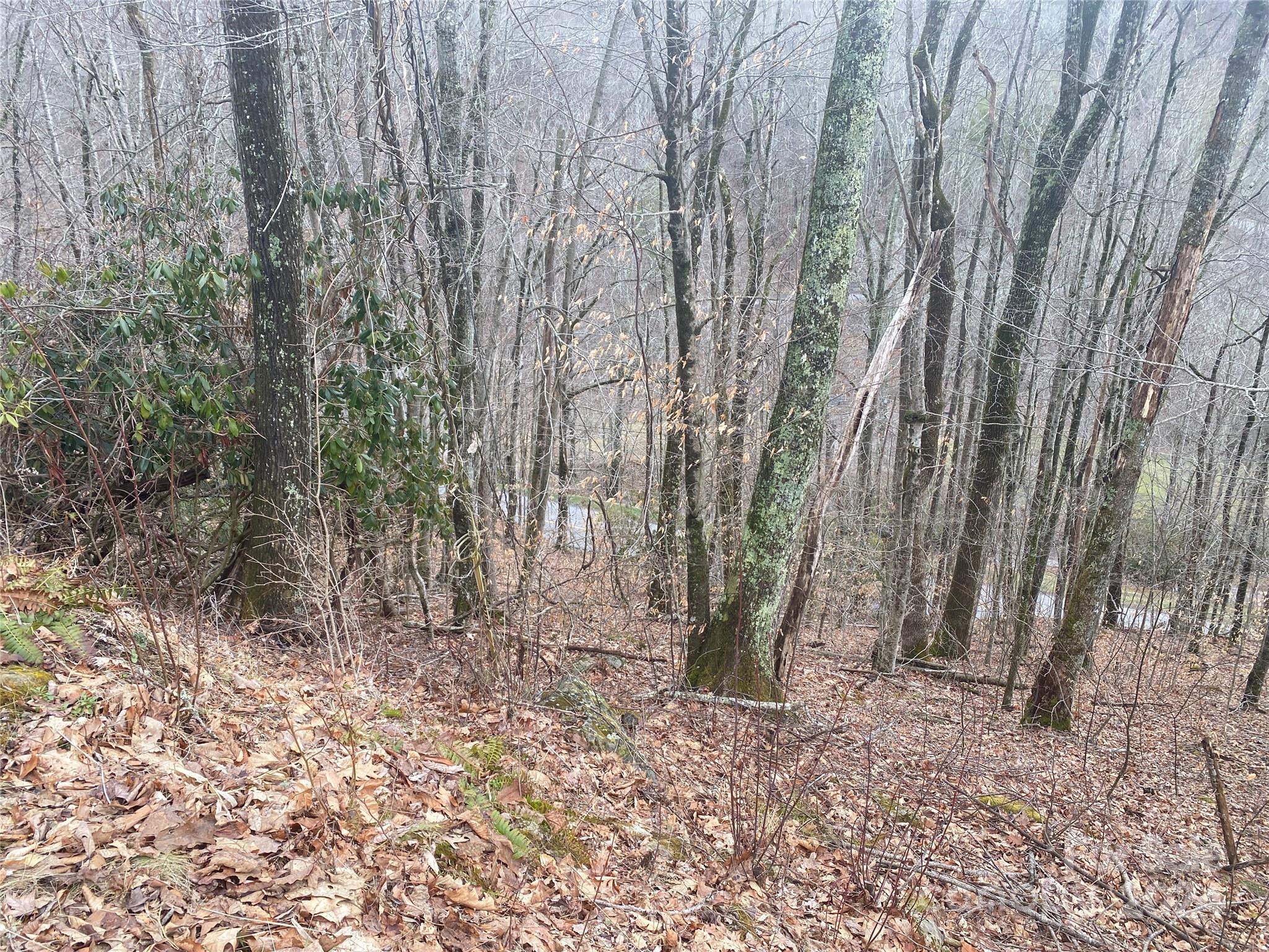 Tbd Fox Den Road Property Photo 7