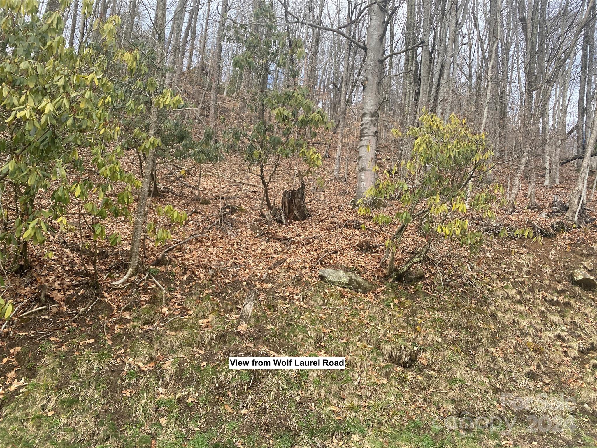 Tbd Fox Den Road Property Photo 8