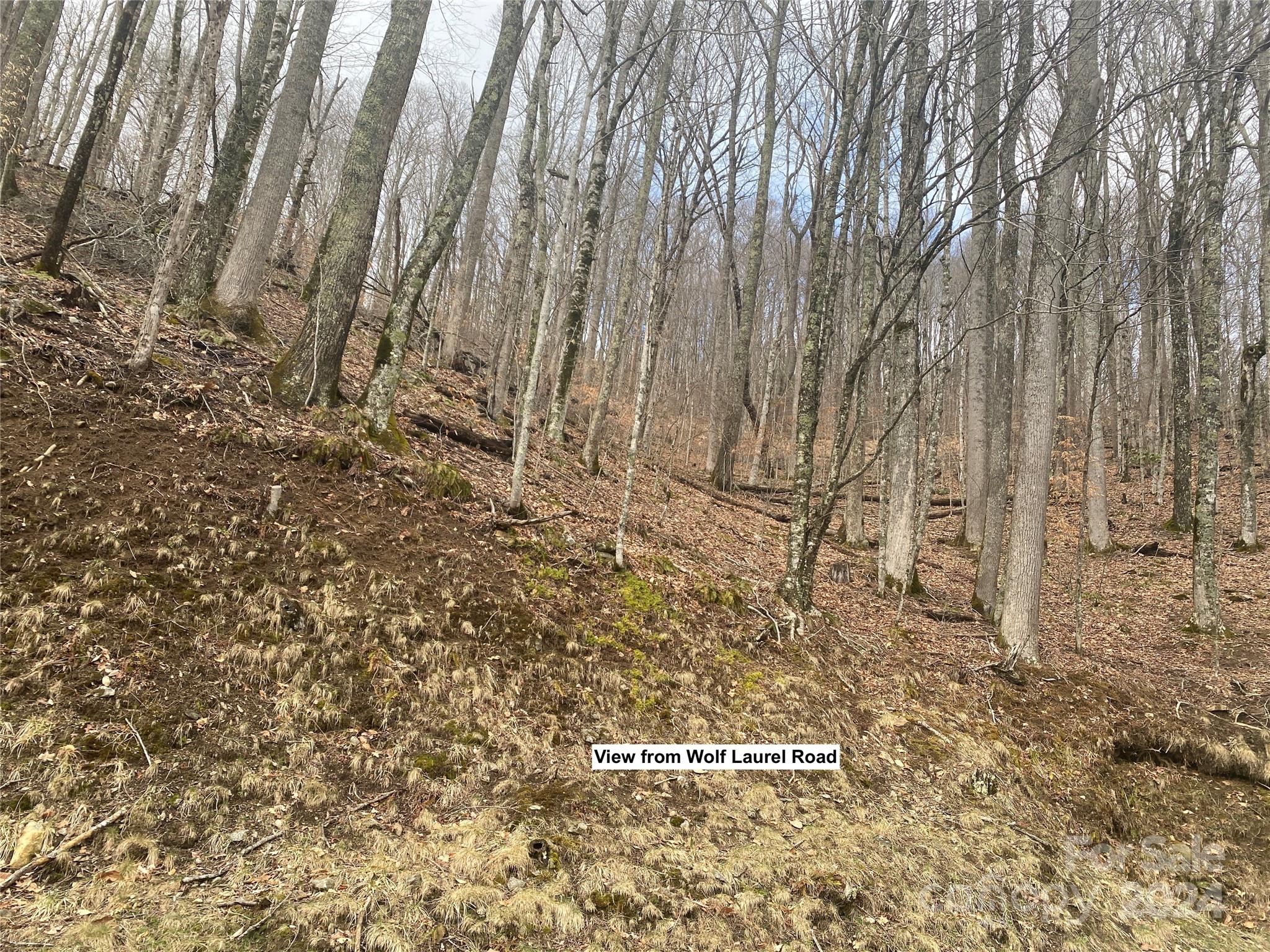 Tbd Fox Den Road Property Photo 9