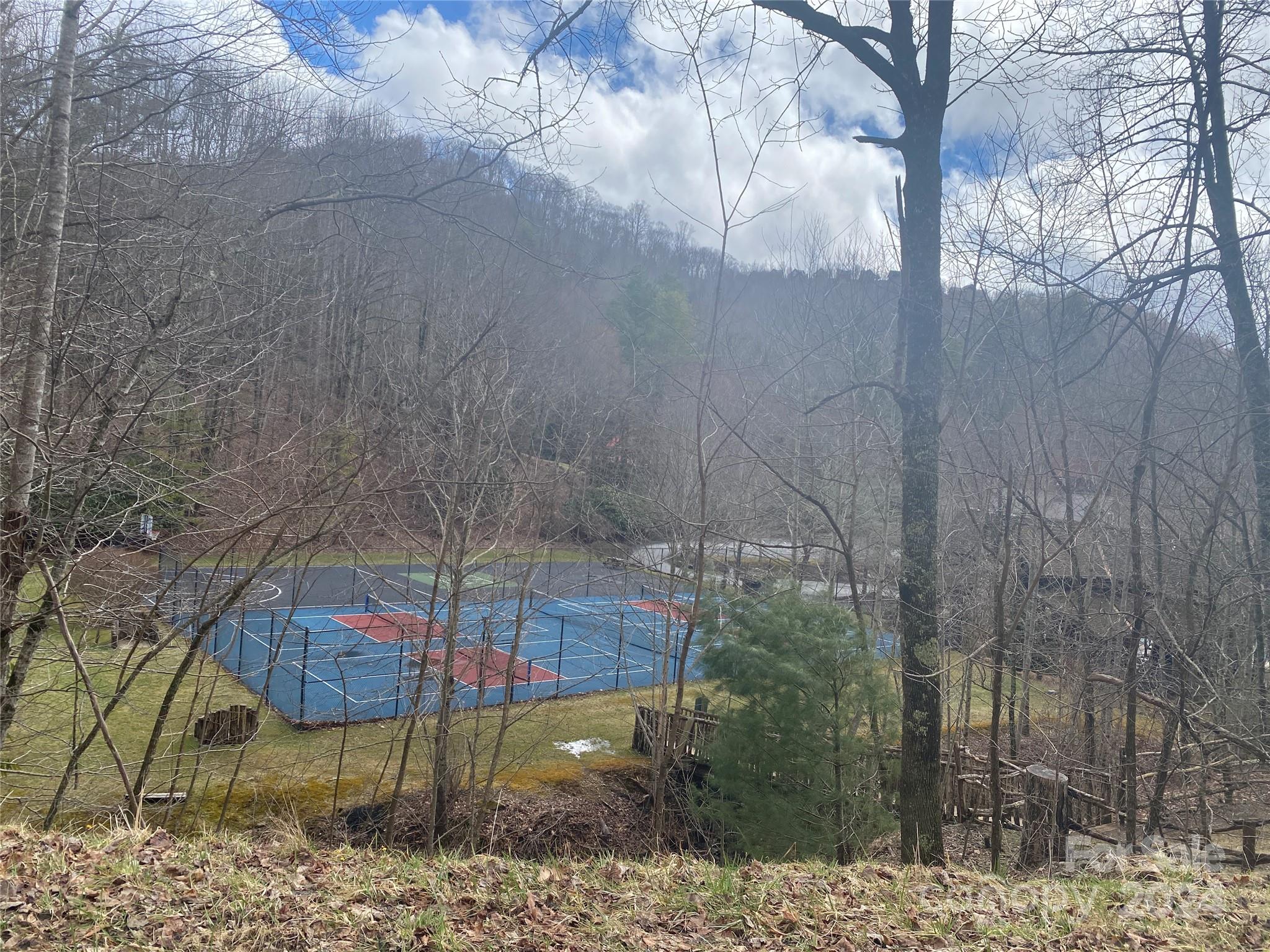 Tbd Fox Den Road Property Photo 12