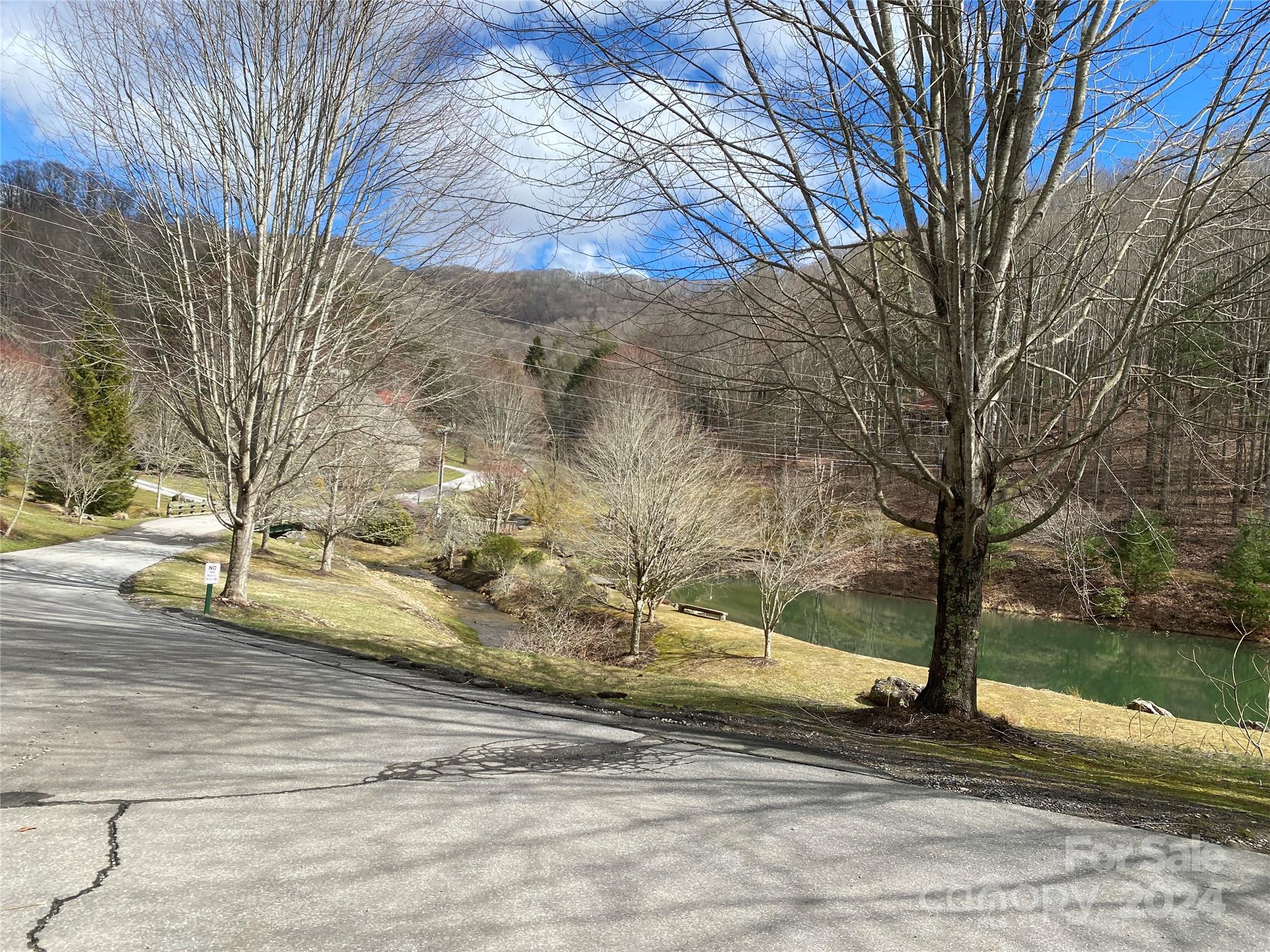 Tbd Fox Den Road Property Photo 14