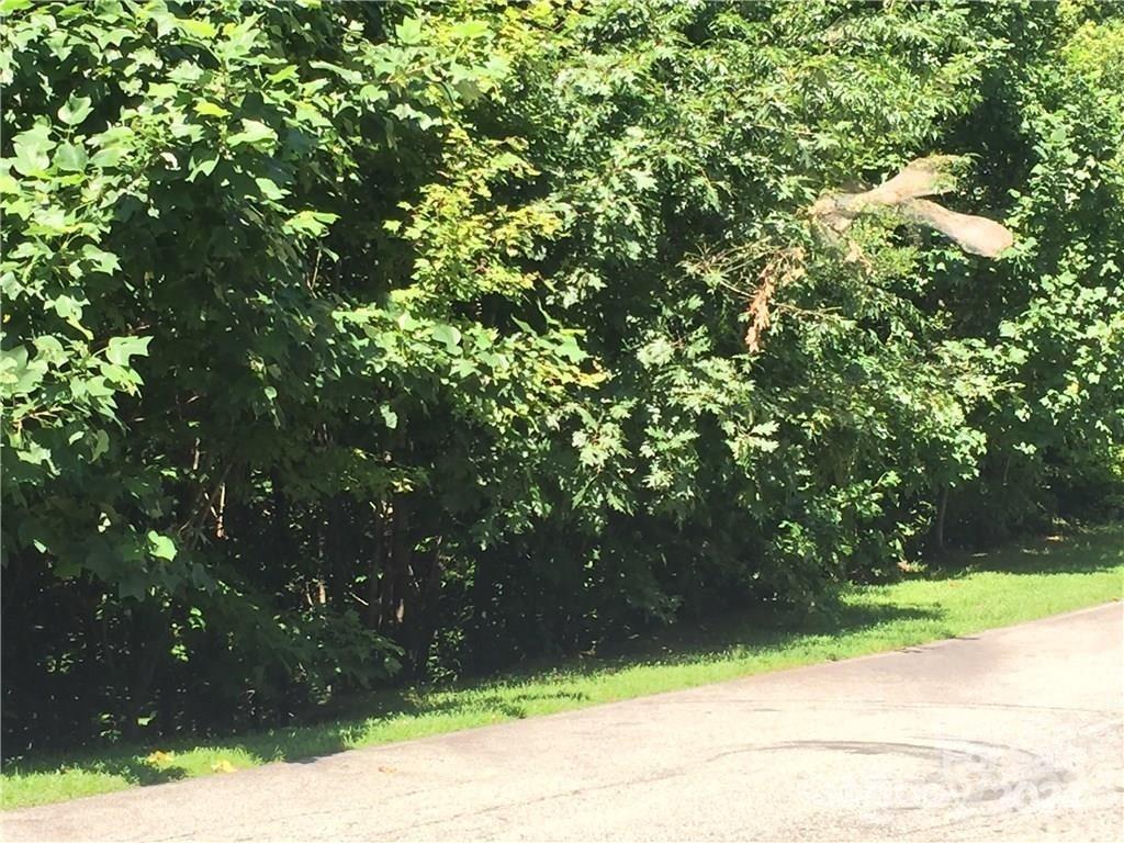 105 Crossvine Trail Property Photo 3