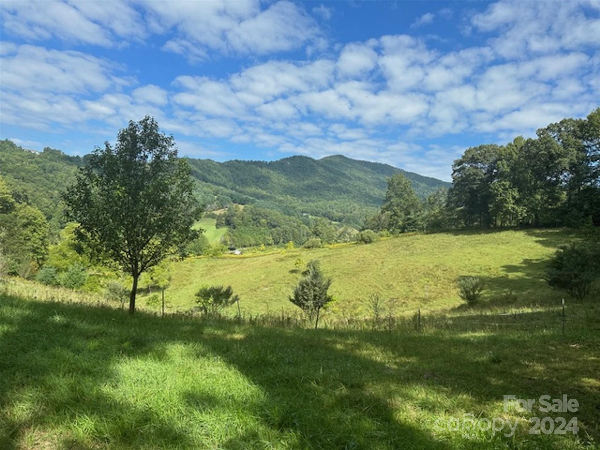 001 Shoal Pond Cove Property Photo 2