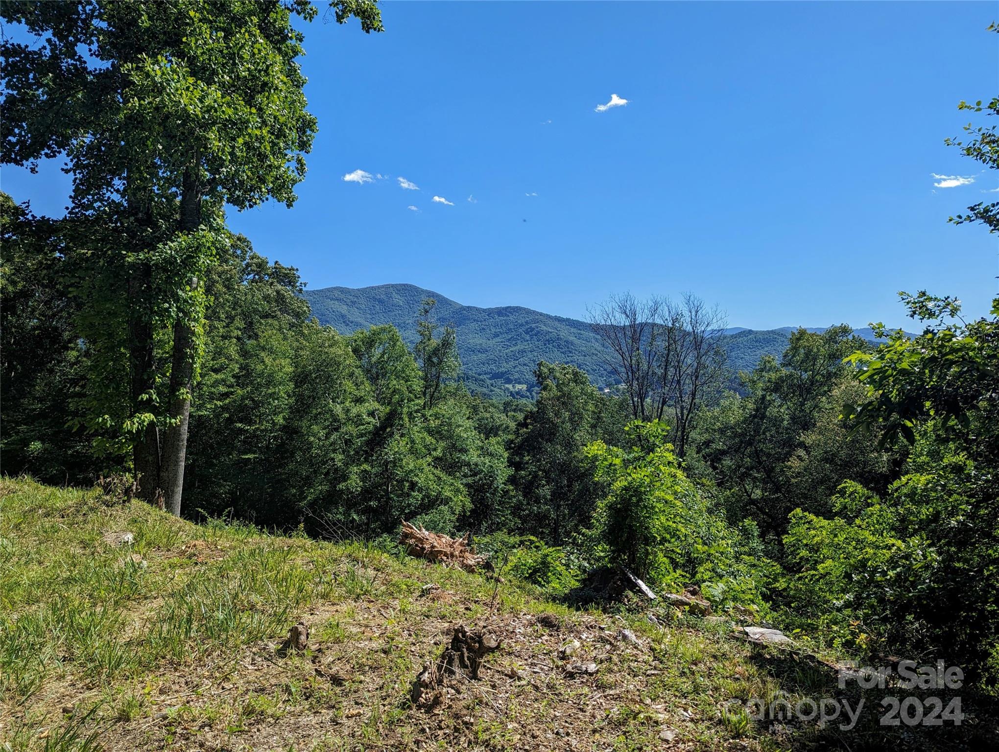 001 Shoal Pond Cove Property Photo 3