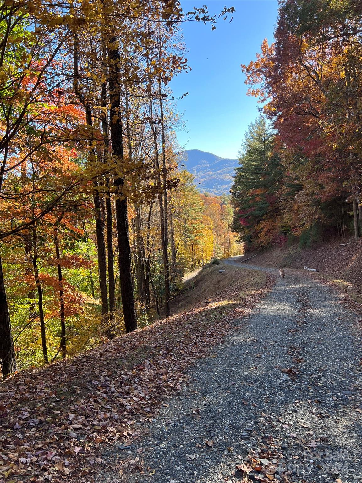 001 Shoal Pond Cove Property Photo 20