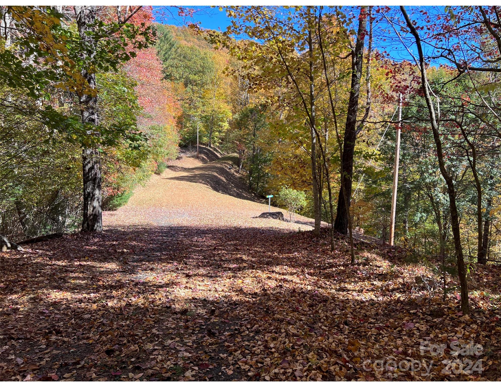 001 Shoal Pond Cove Property Photo 21