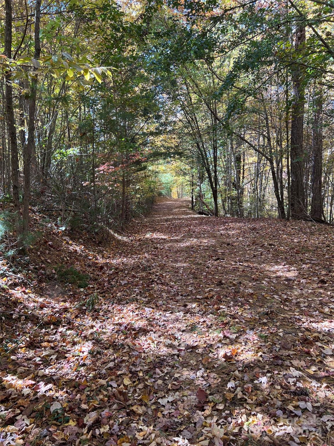 001 Shoal Pond Cove Property Photo 22