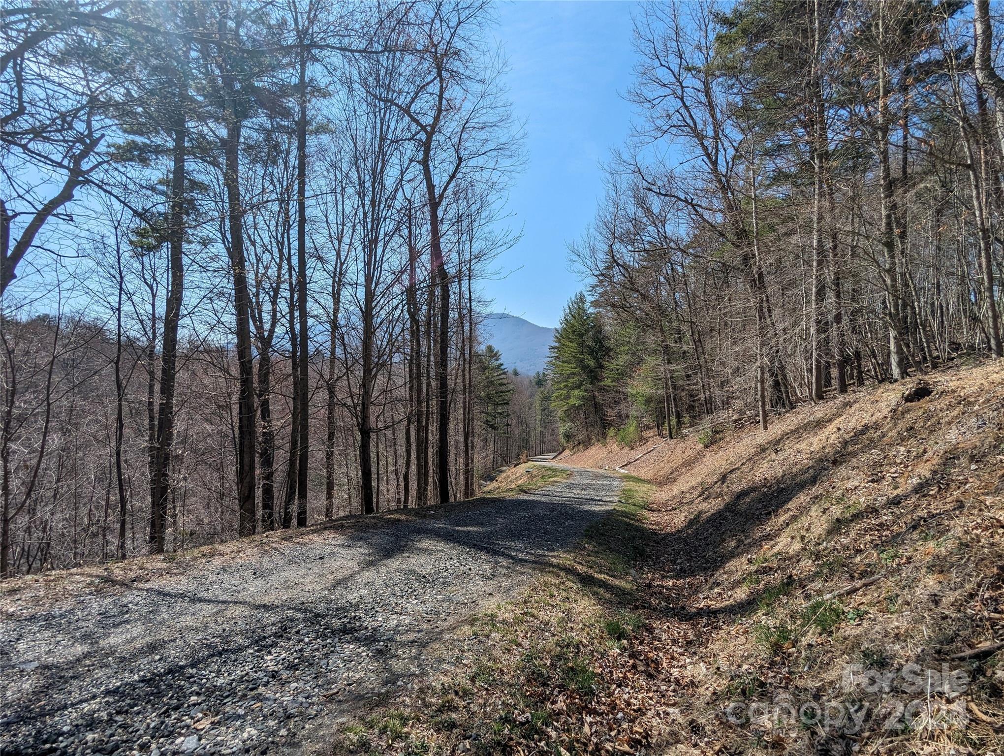 001 Shoal Pond Cove Property Photo 27