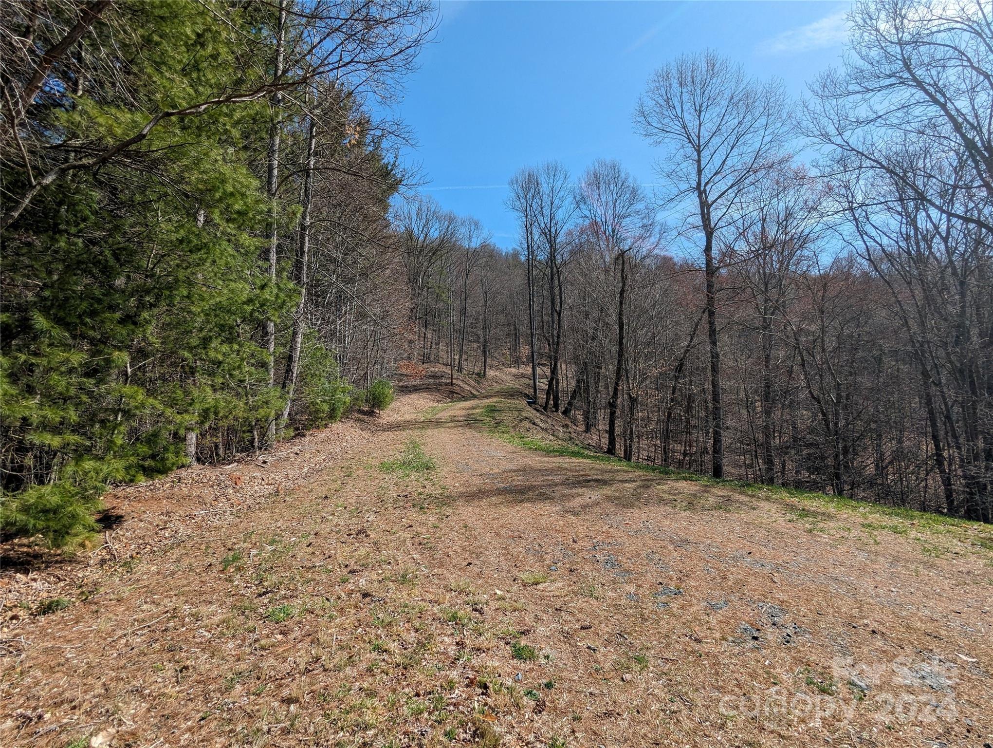 001 Shoal Pond Cove Property Photo 29