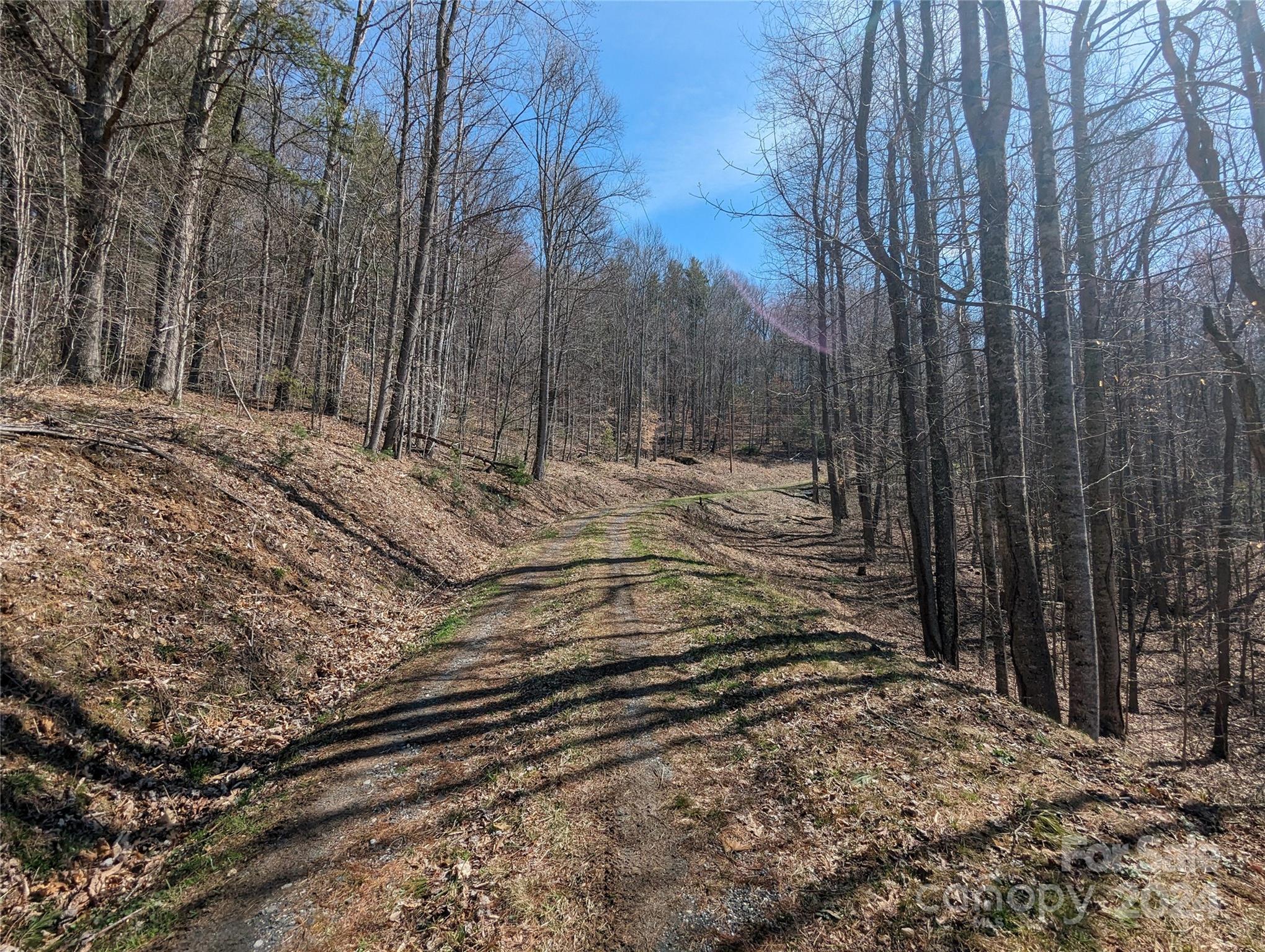 001 Shoal Pond Cove Property Photo 31