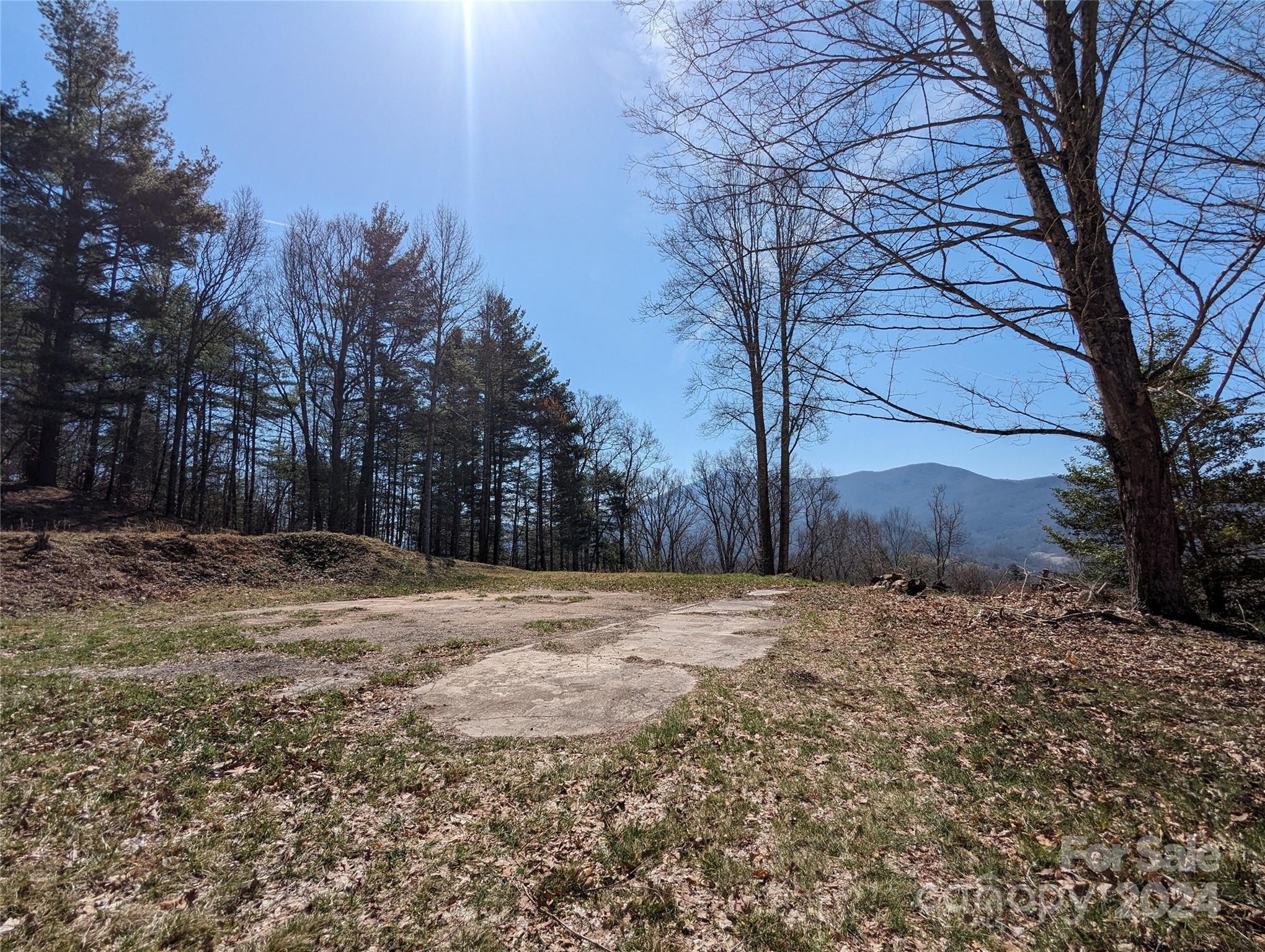 001 Shoal Pond Cove Property Photo 33