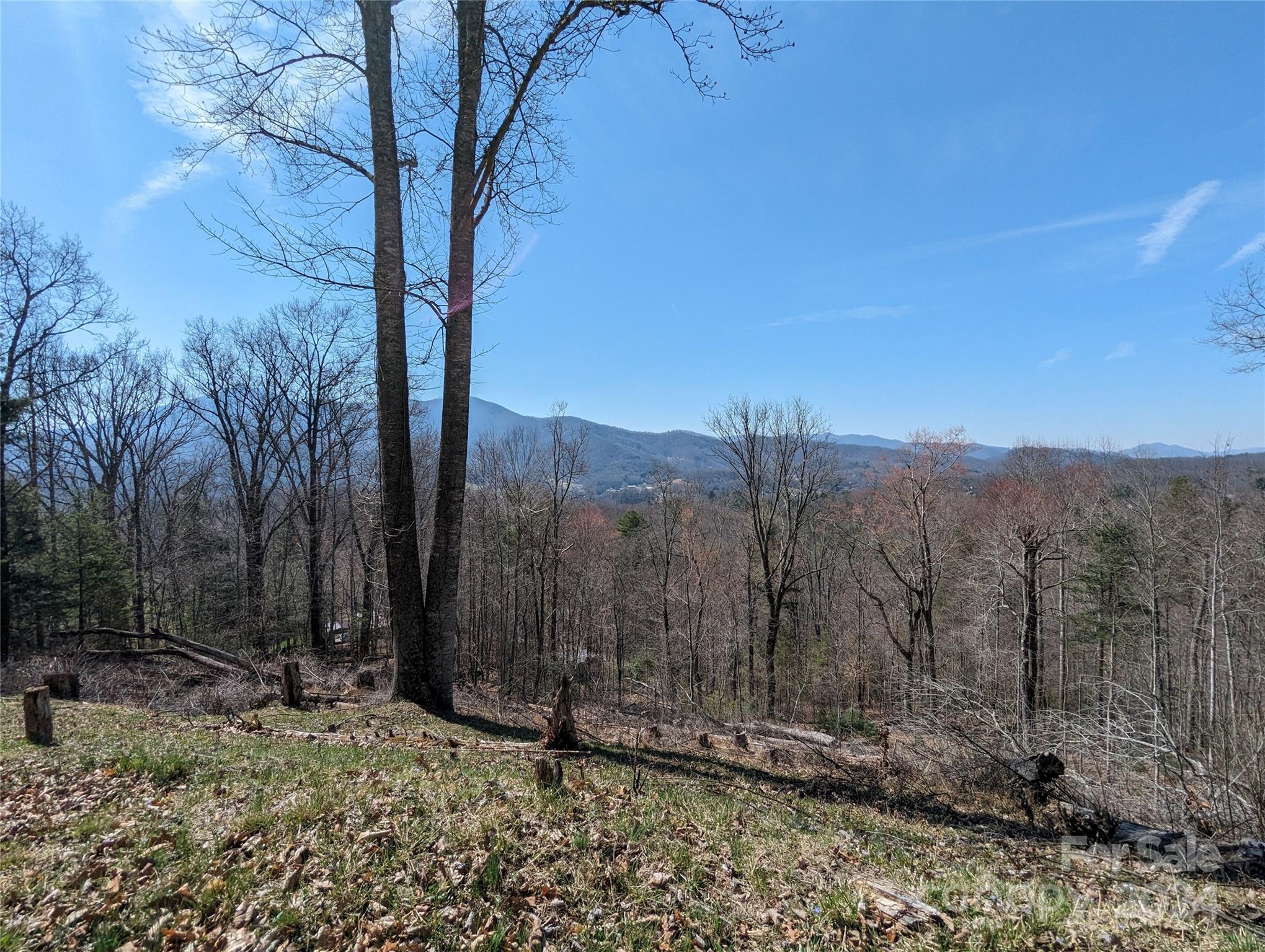 001 Shoal Pond Cove Property Photo 34