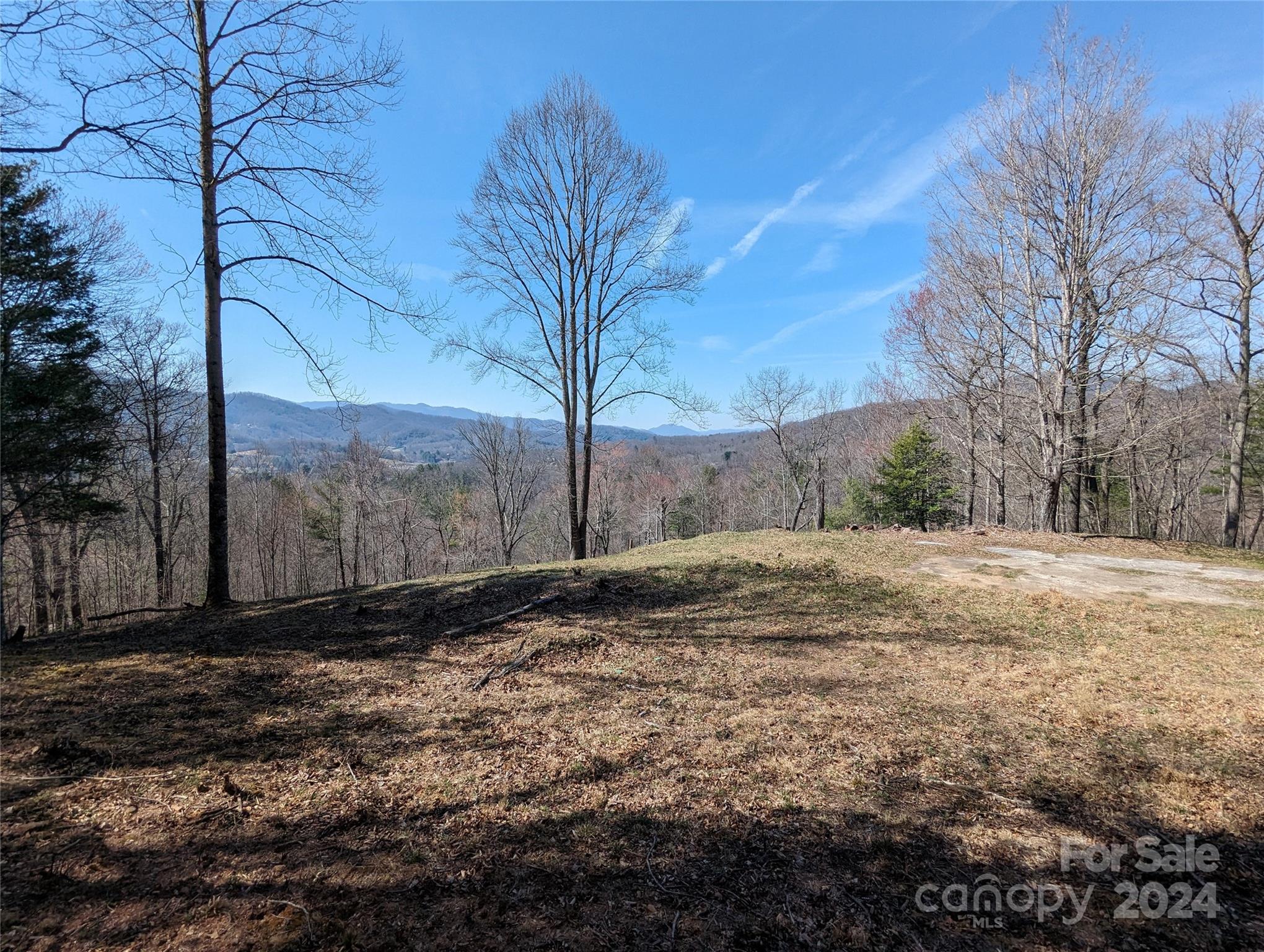 001 Shoal Pond Cove Property Photo 35