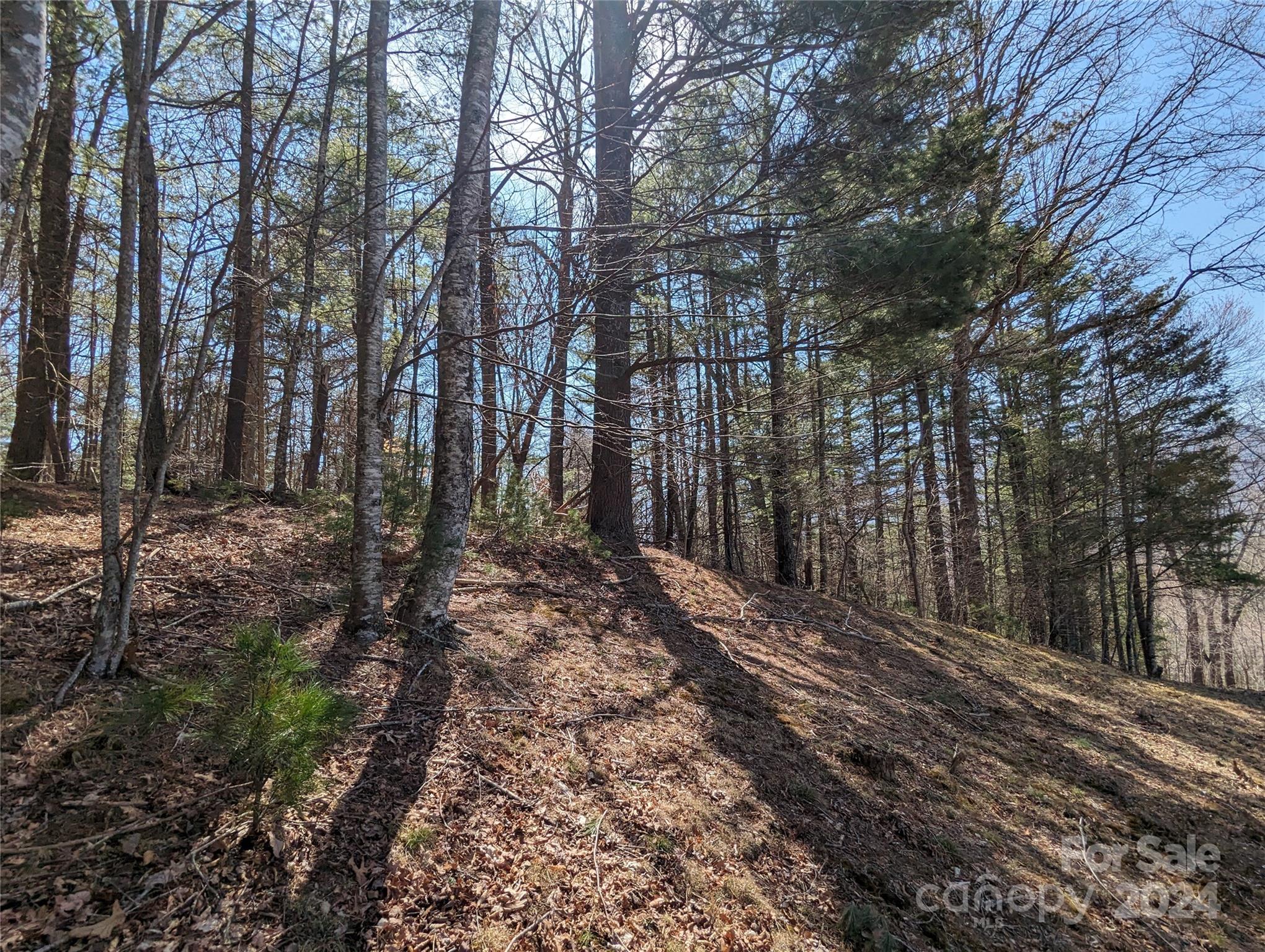 001 Shoal Pond Cove Property Photo 36