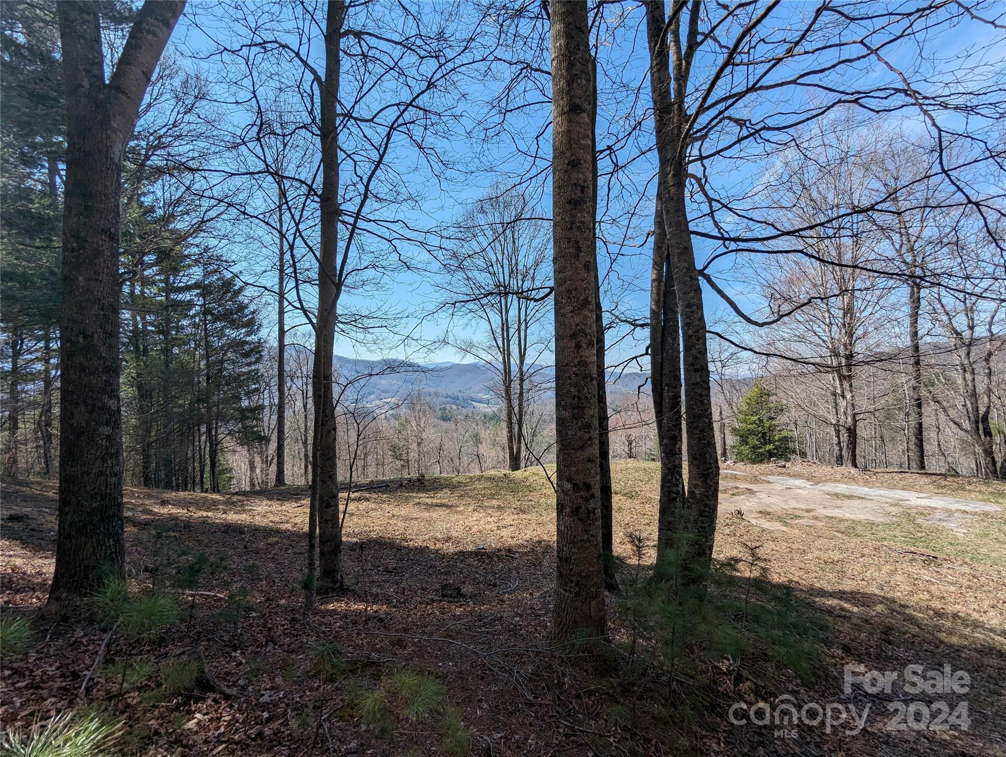 001 Shoal Pond Cove Property Photo 38