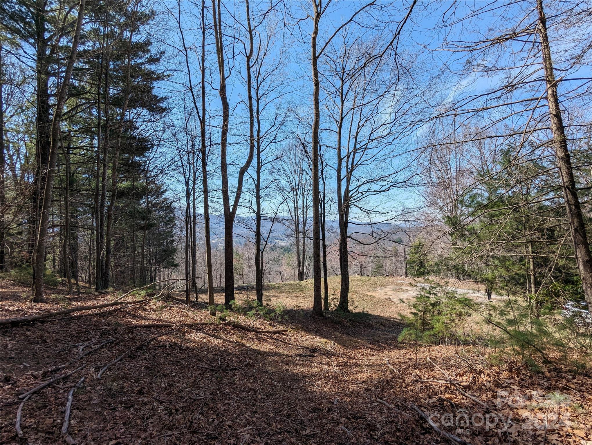 001 Shoal Pond Cove Property Photo 39