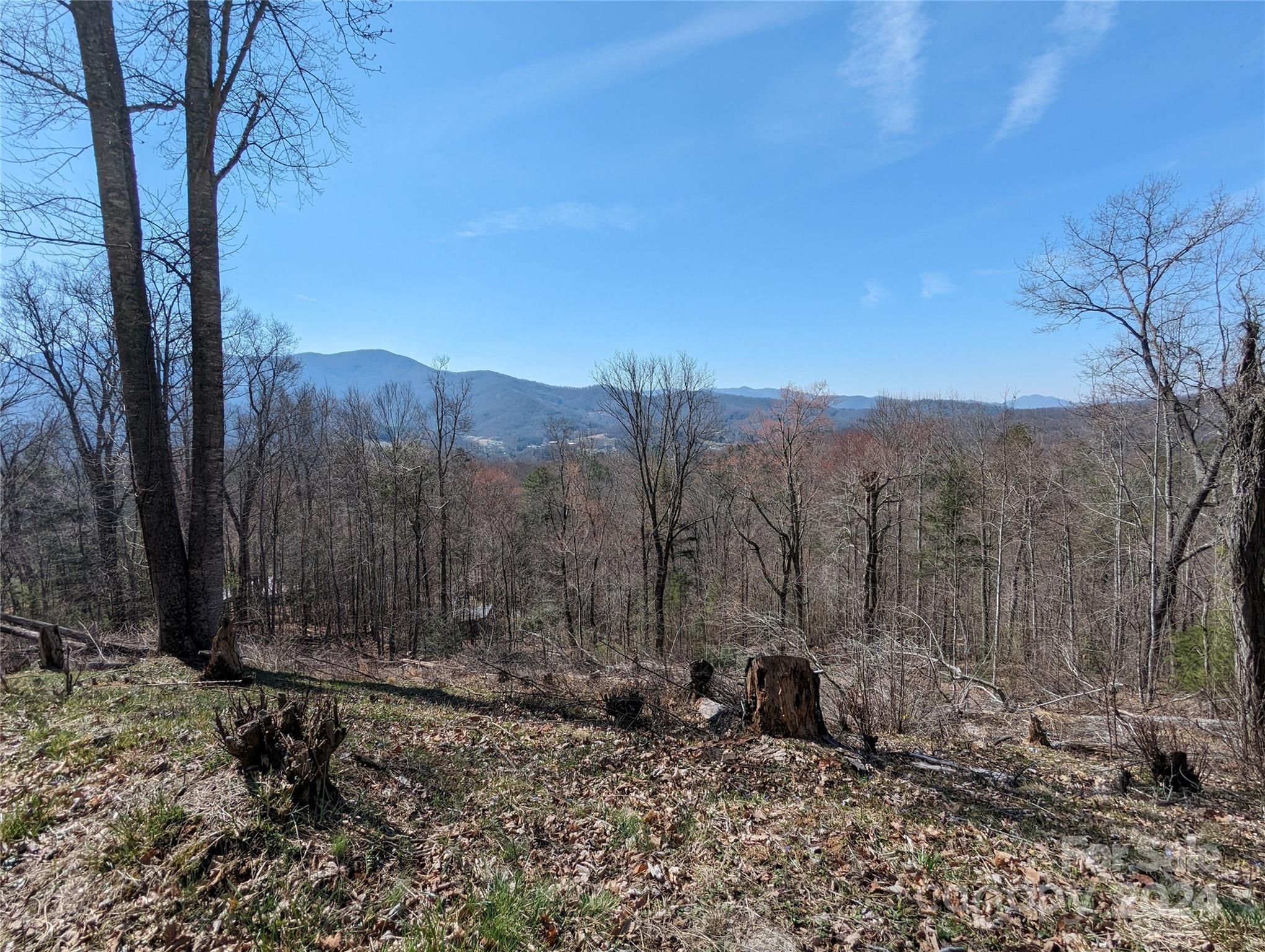001 Shoal Pond Cove Property Photo 41