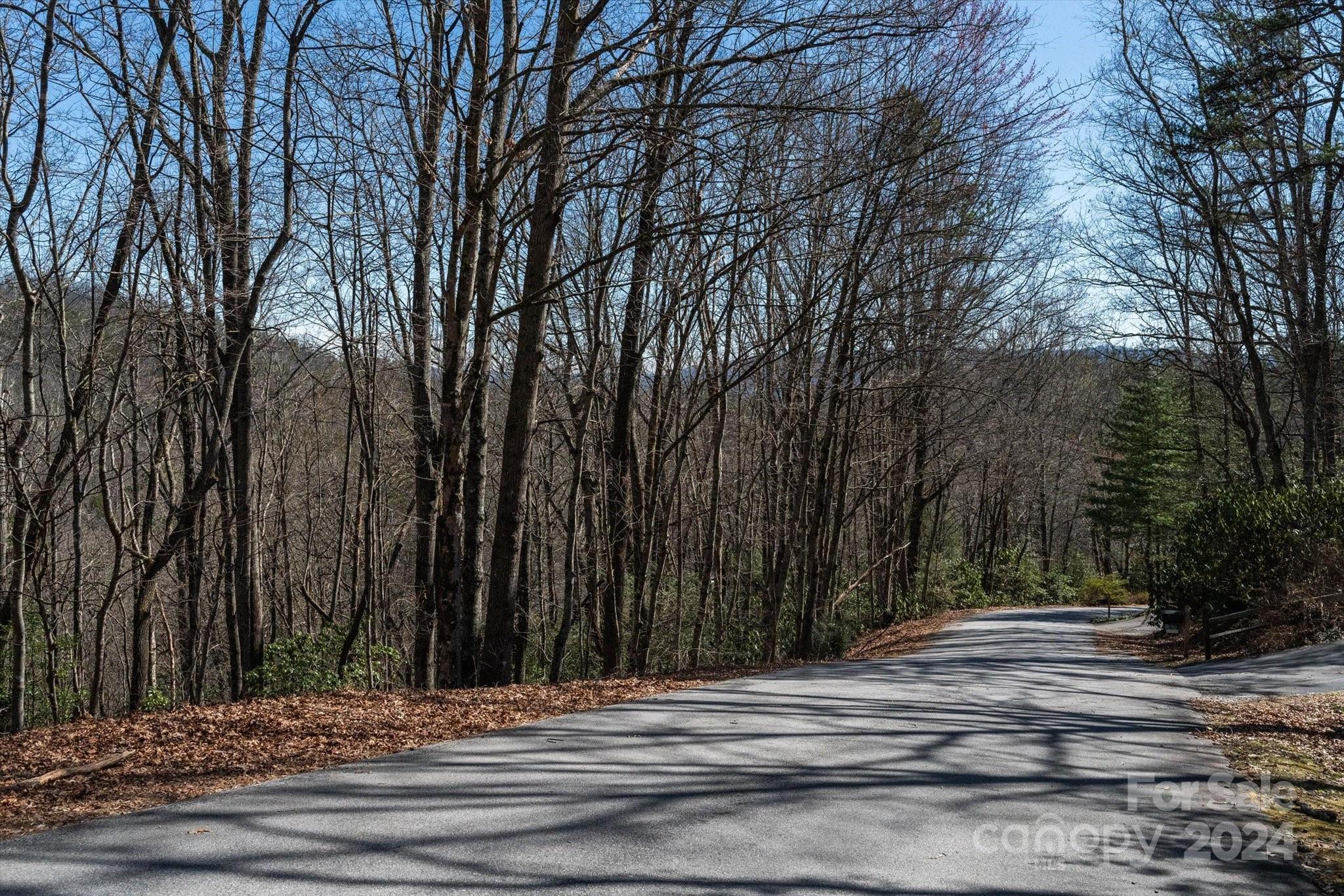 260 Mine Mountain Drive 7, Pisgah Forest, NC 28768 | MLS#: 4118061 | Pisgah  Forest Real Estate