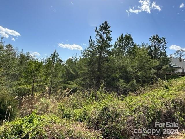 78 Homestead Ridge Road Property Photo 2