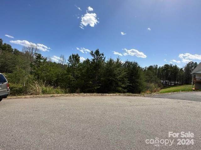 78 Homestead Ridge Road Property Photo 3