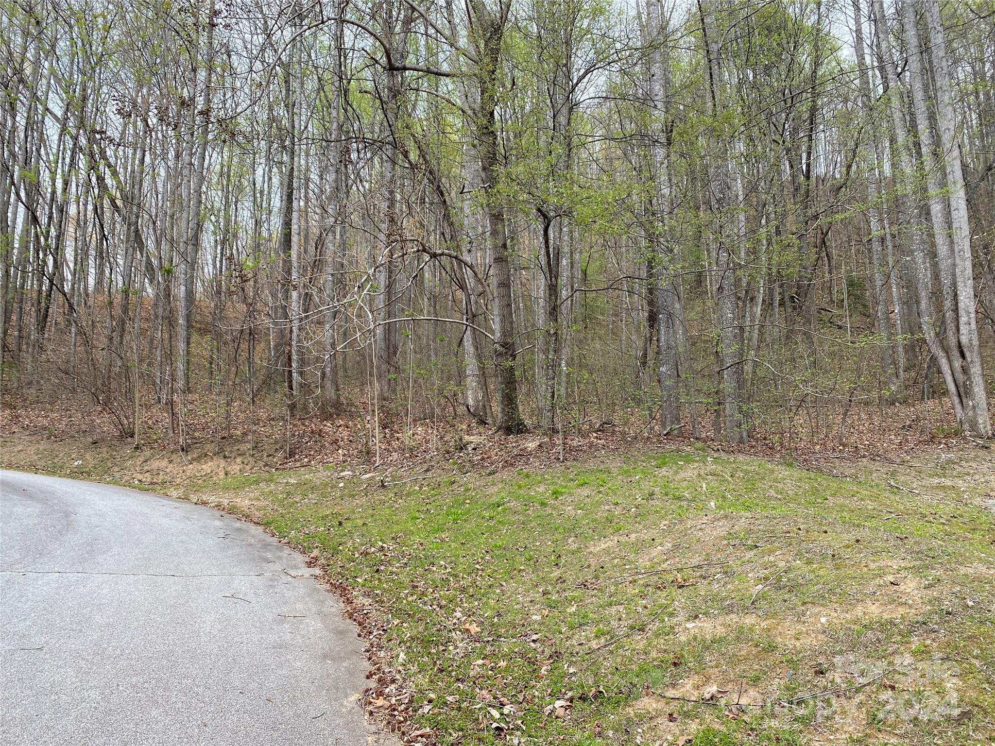 216 Cottage Side Trail Property Photo