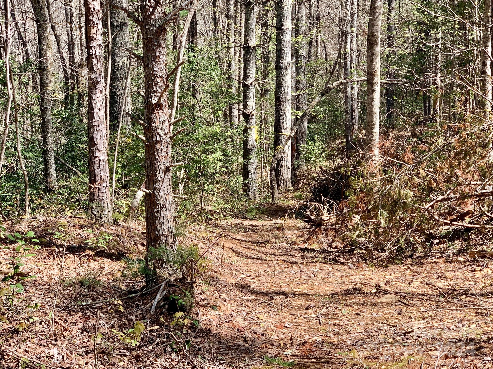 Lot 376 Table View Lane Lot 376 Property Photo 5