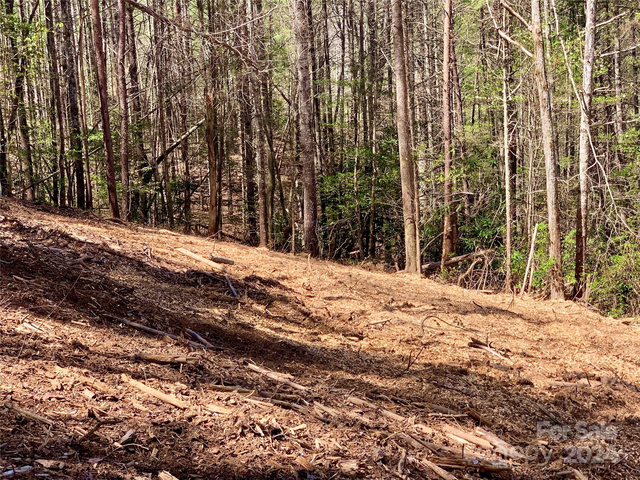 Lot 376 Table View Lane Lot 376 Property Photo 6