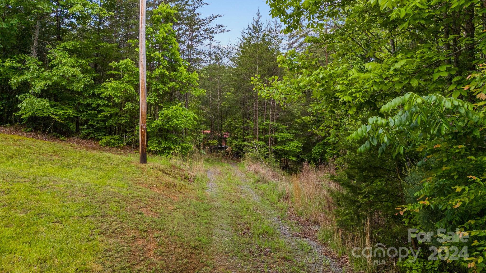 1026 Music Road Property Photo 3
