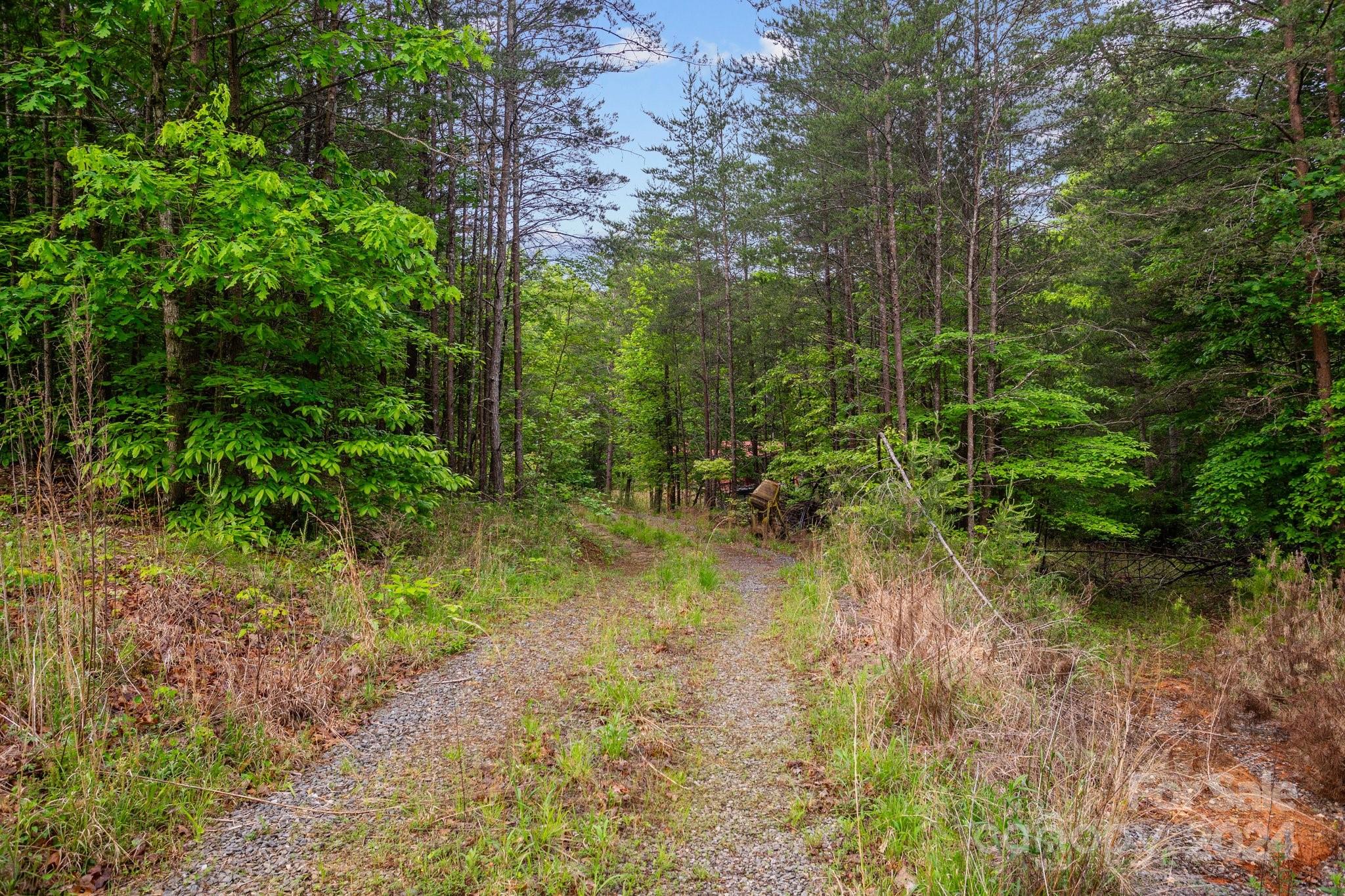 1026 Music Road Property Photo 4