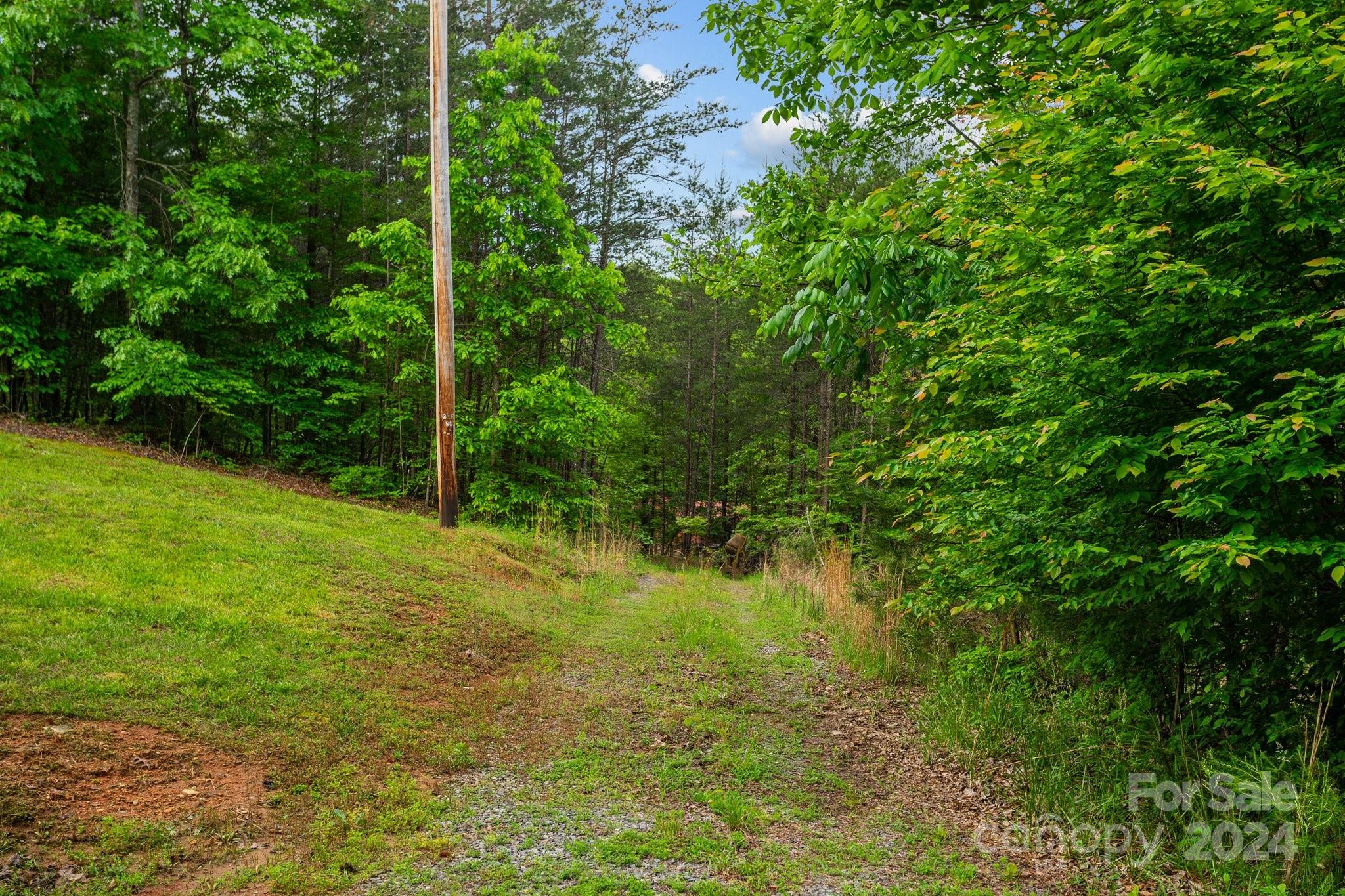 1026 Music Road Property Photo 6