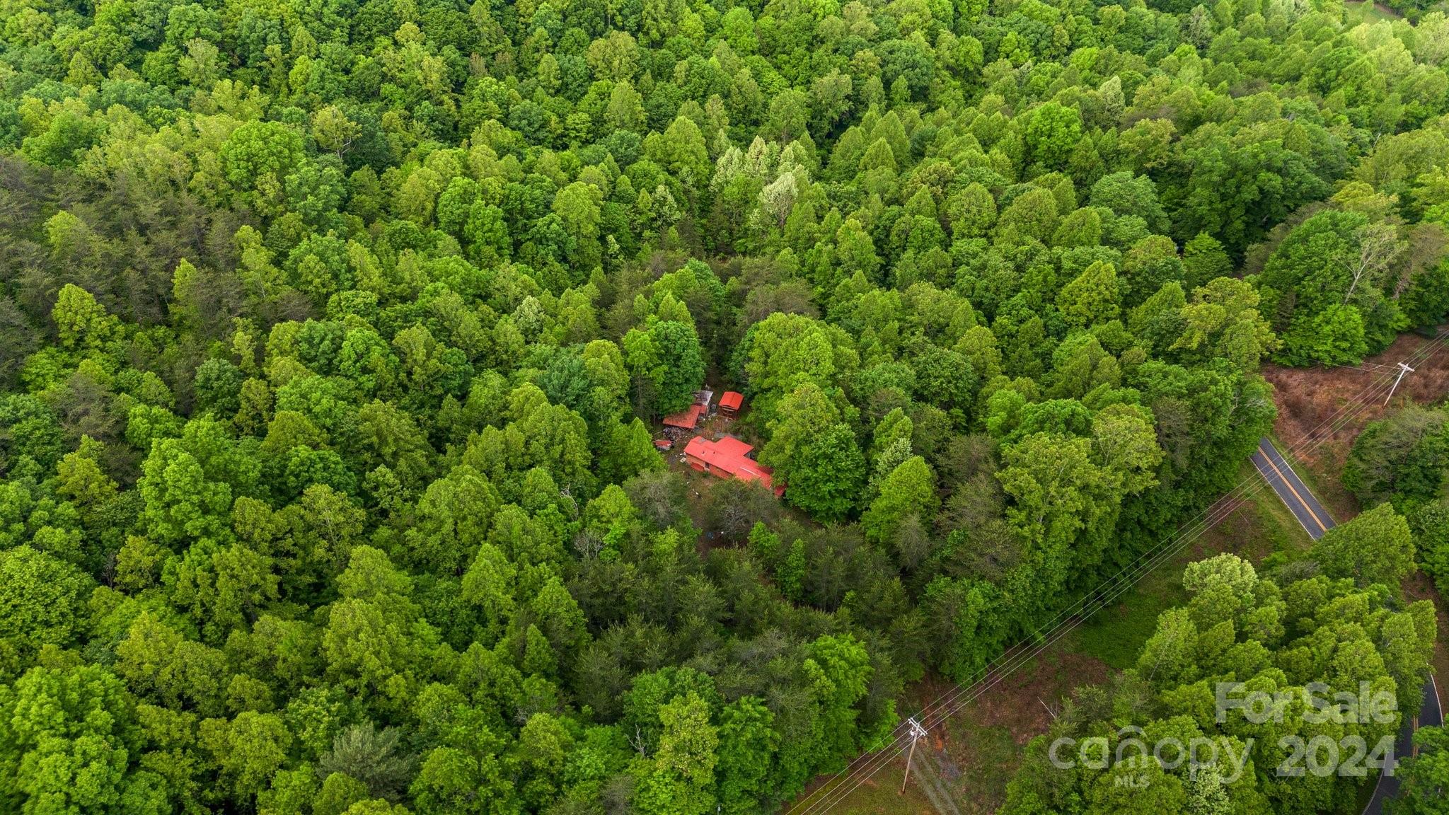 1026 Music Road Property Photo 7