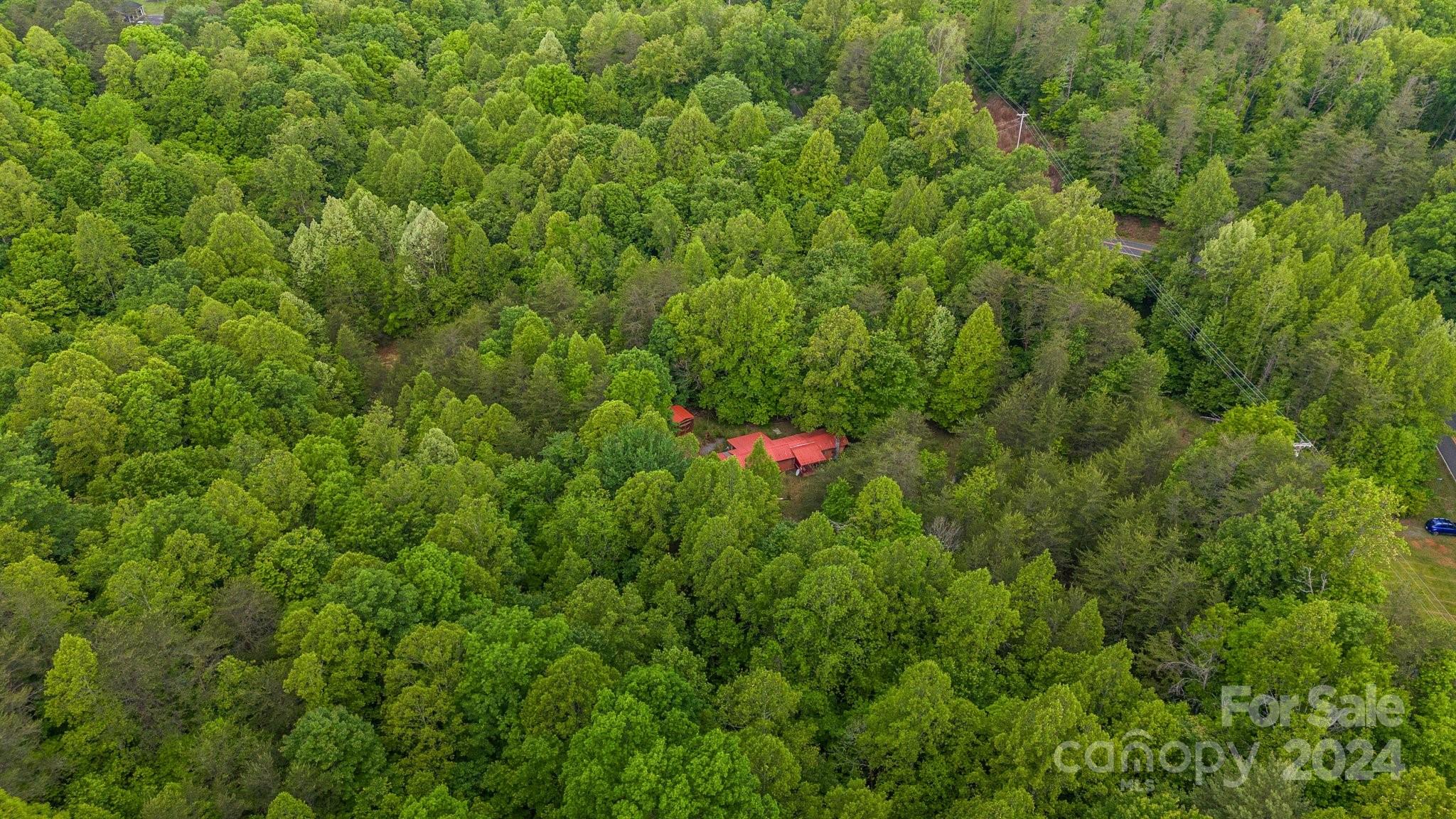 1026 Music Road Property Photo 8
