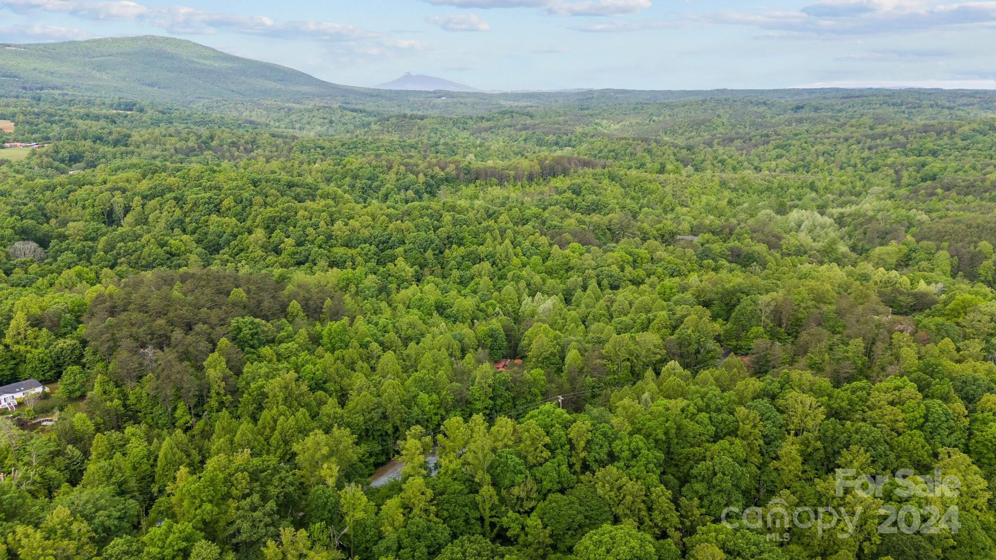 1026 Music Road Property Photo 14