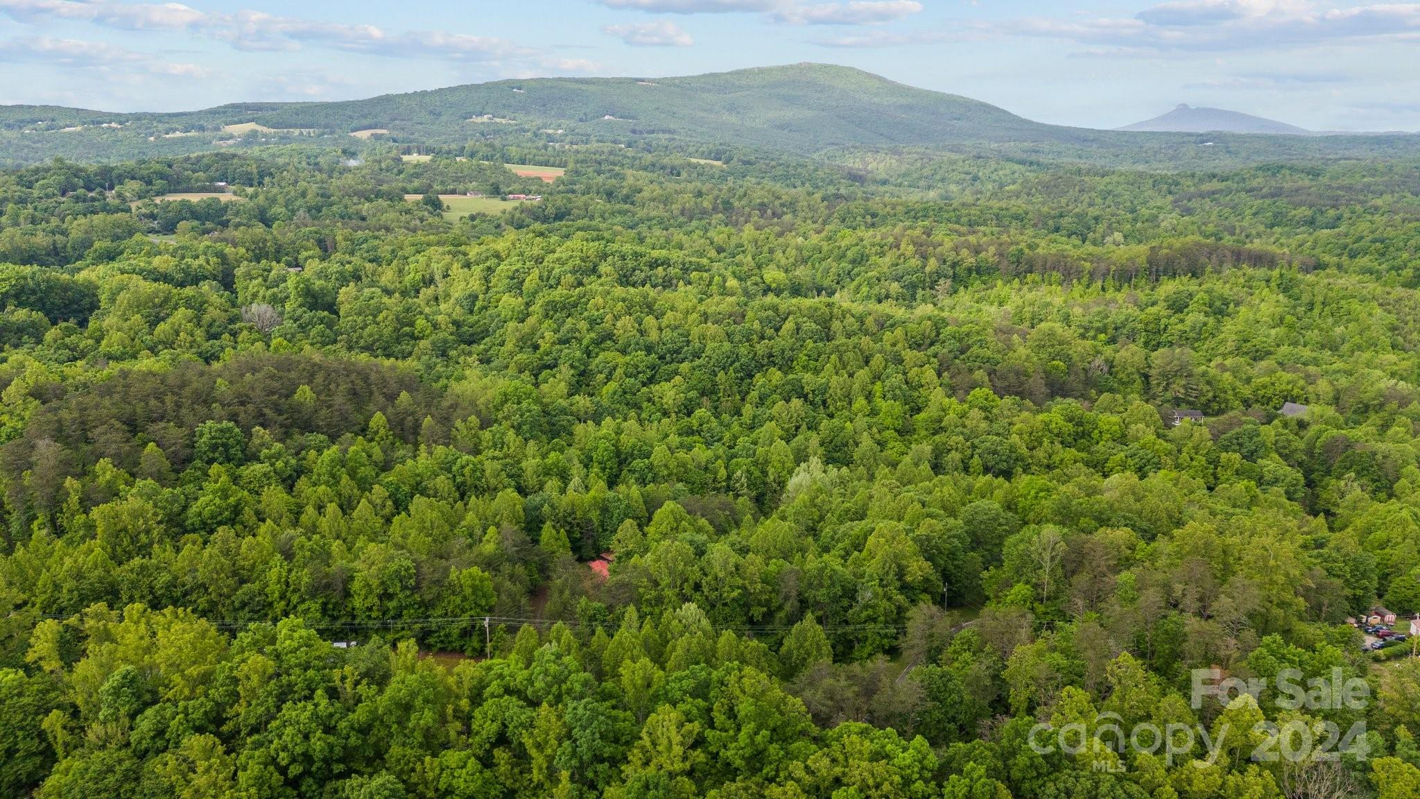 1026 Music Road Property Photo 16