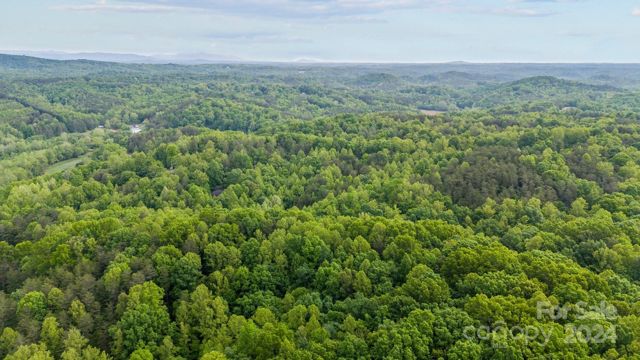 1026 Music Road Property Photo 21