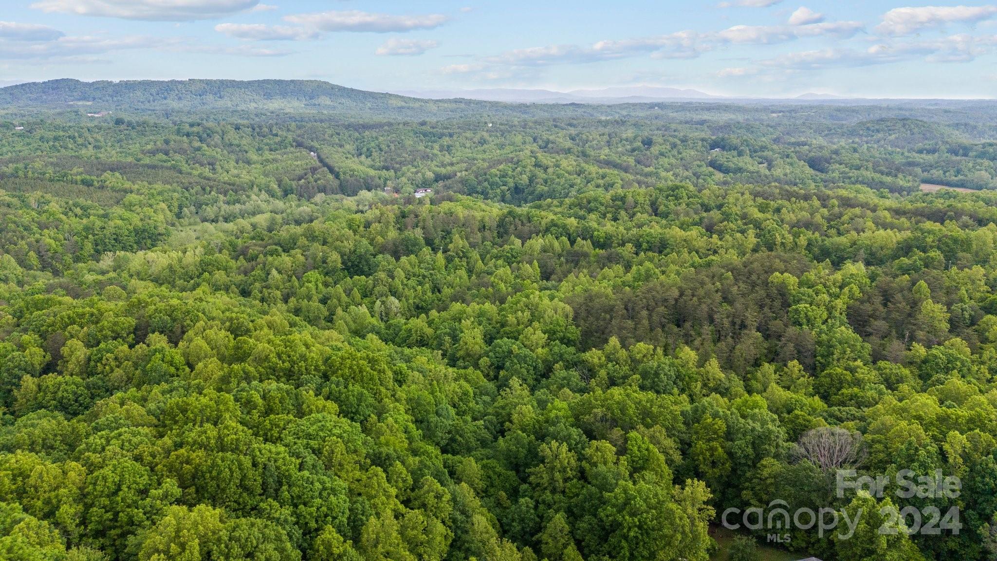 1026 Music Road Property Photo 22