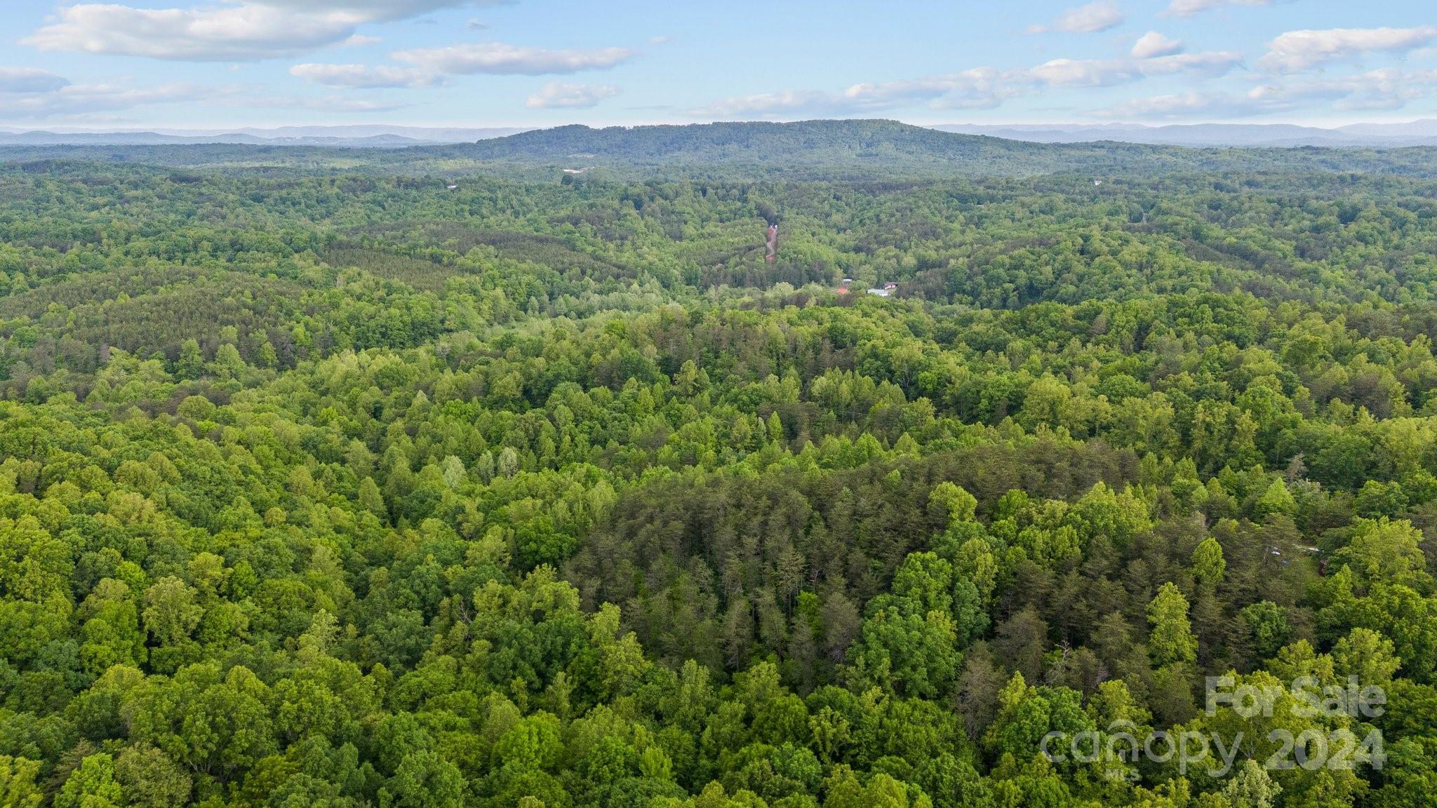 1026 Music Road Property Photo 23