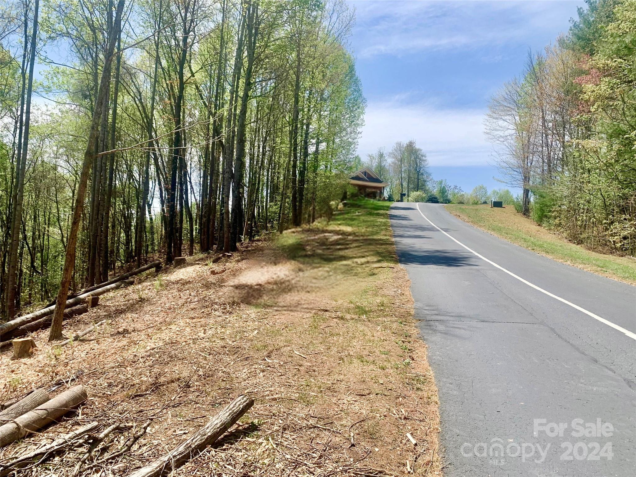 4.77 Acres, Lot 245 Johns Ridge Parkway Lot 245 Property Photo 3