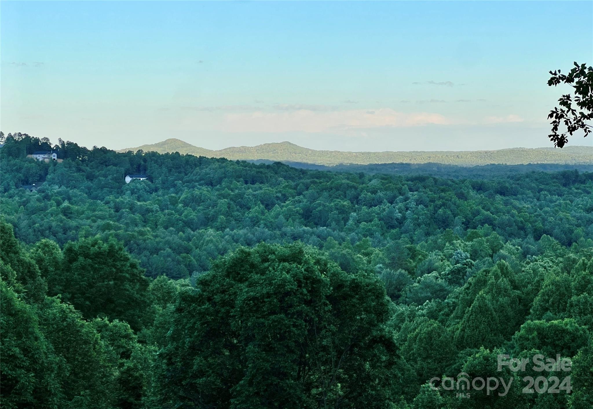 4.77 Acres, Lot 245 Johns Ridge Parkway Lot 245 Property Photo 5