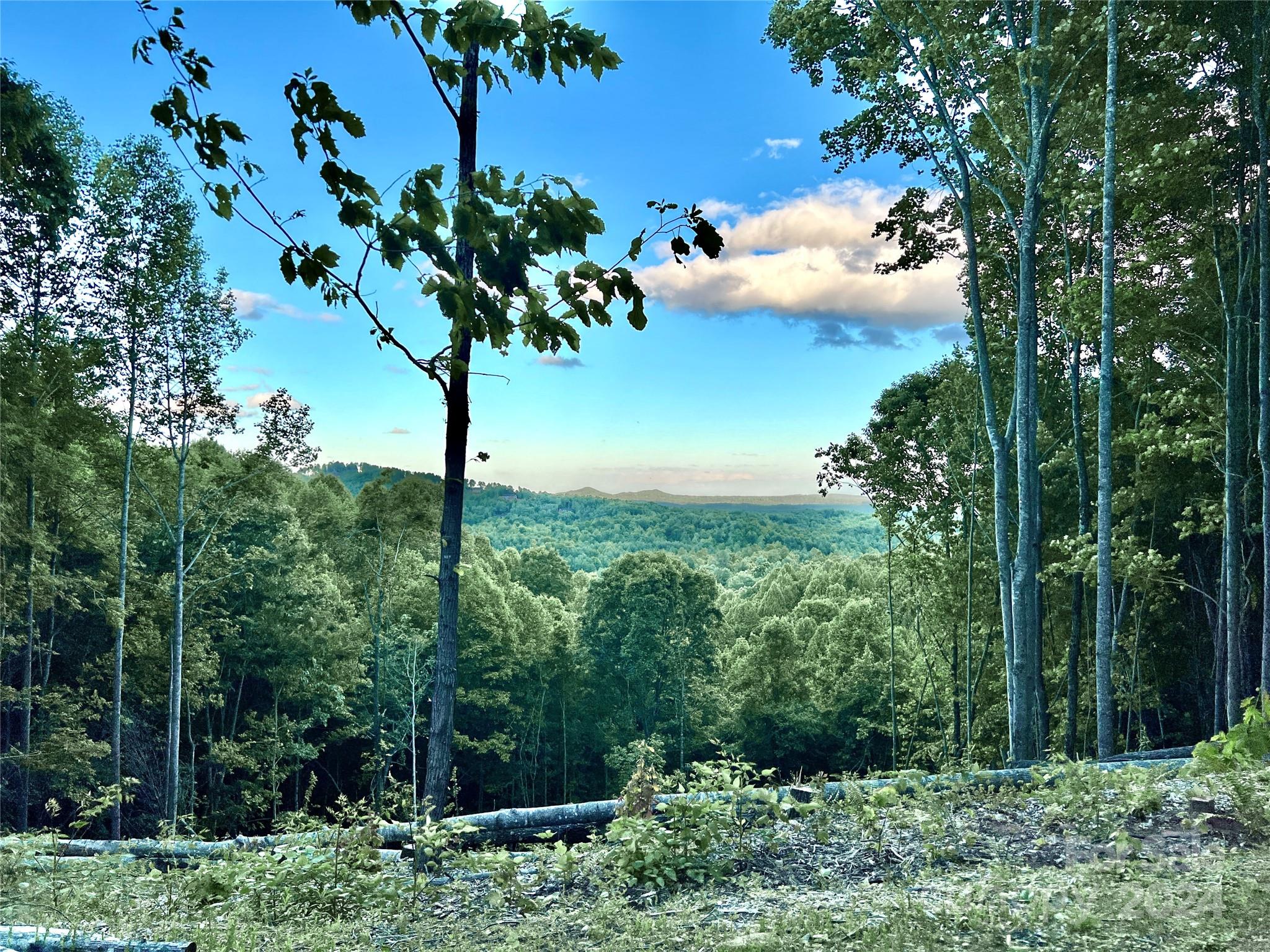 4.77 Acres, Lot 245 Johns Ridge Parkway Lot 245 Property Photo 6