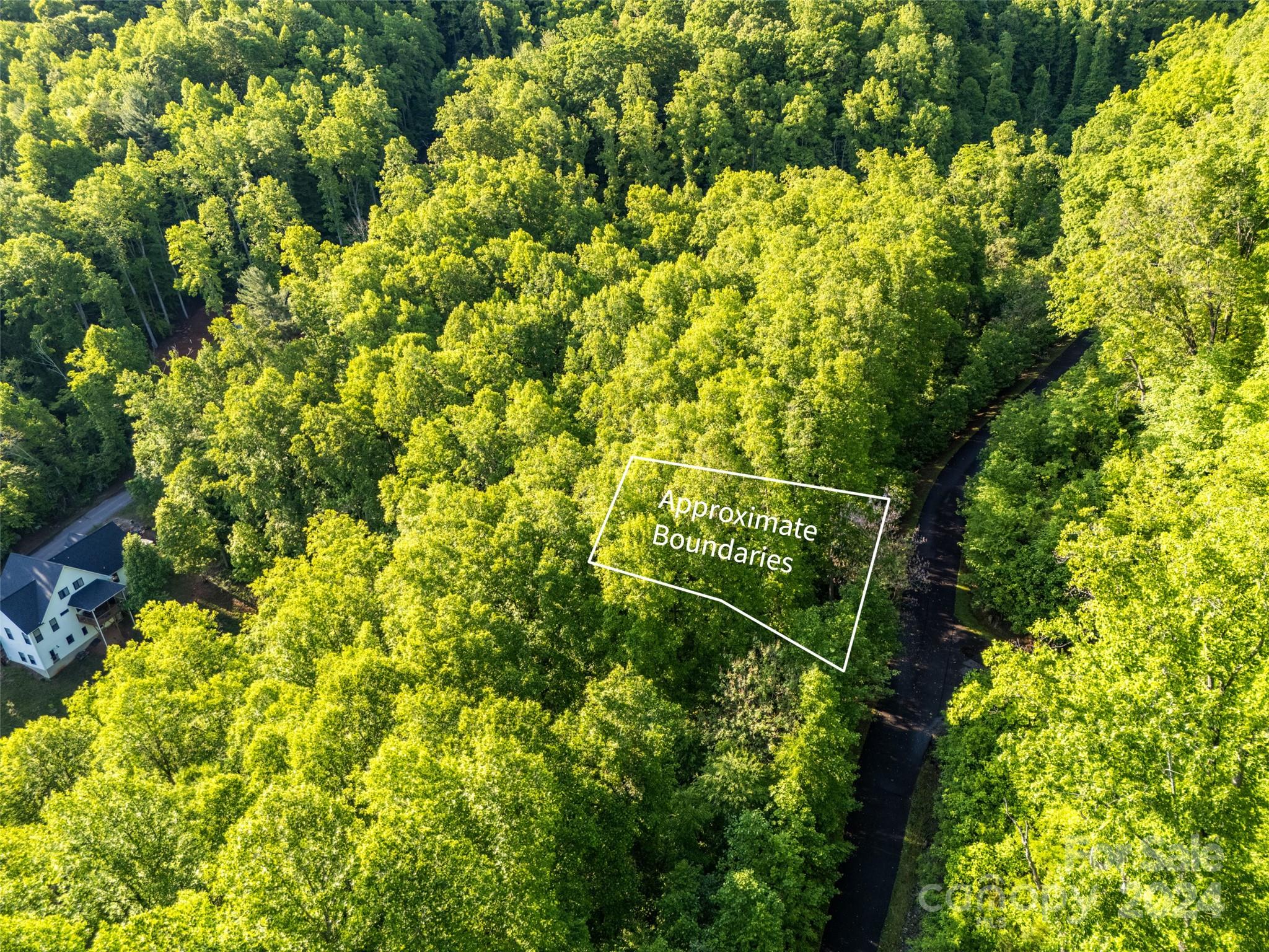 37 Ashewood Mountain Way Property Photo 2